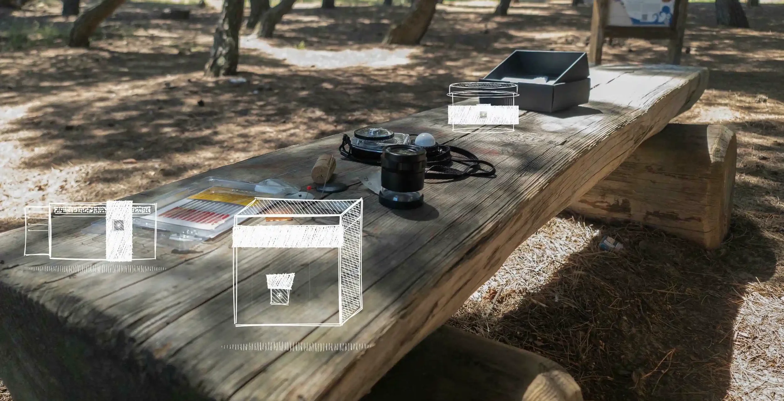 Workshop di Pinhole Camera in Pineta Abruzzo