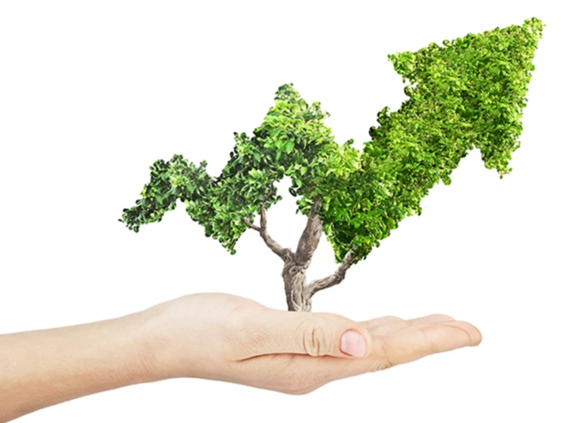 Har I fastlagt strategien for, hvordan jeres virksomhed skal arbejde med bæredygtighed ?