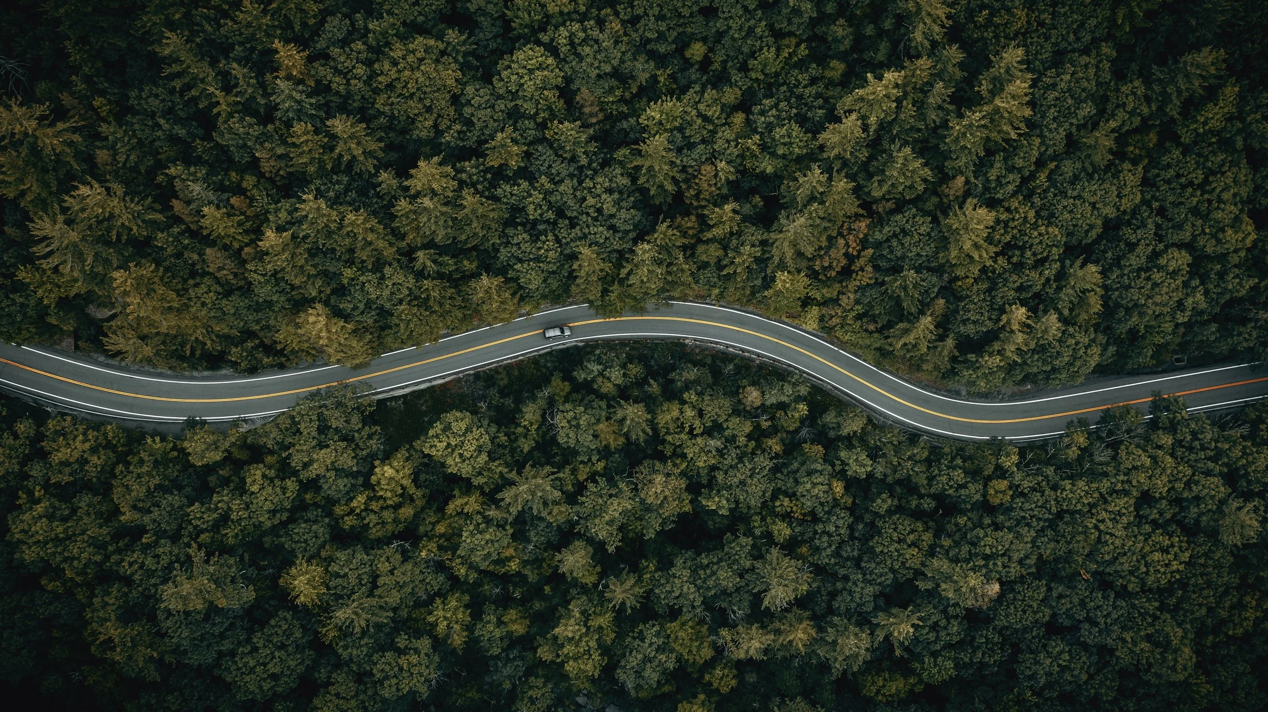 Aerial view of a winding road cutting through dense green forest