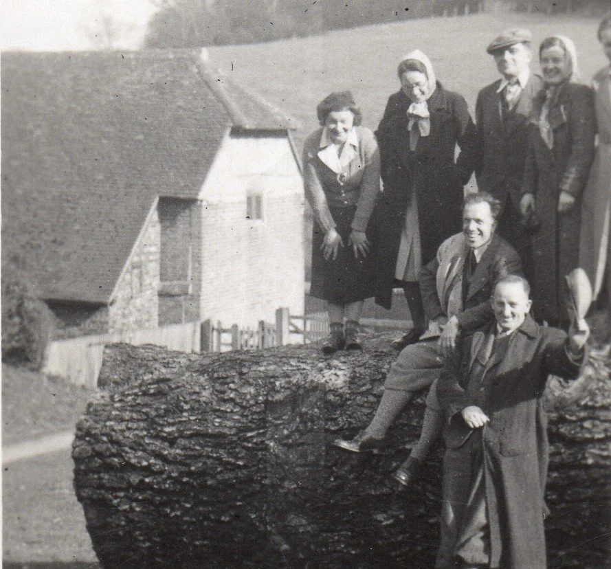 Dorking Society Image 2.jpg