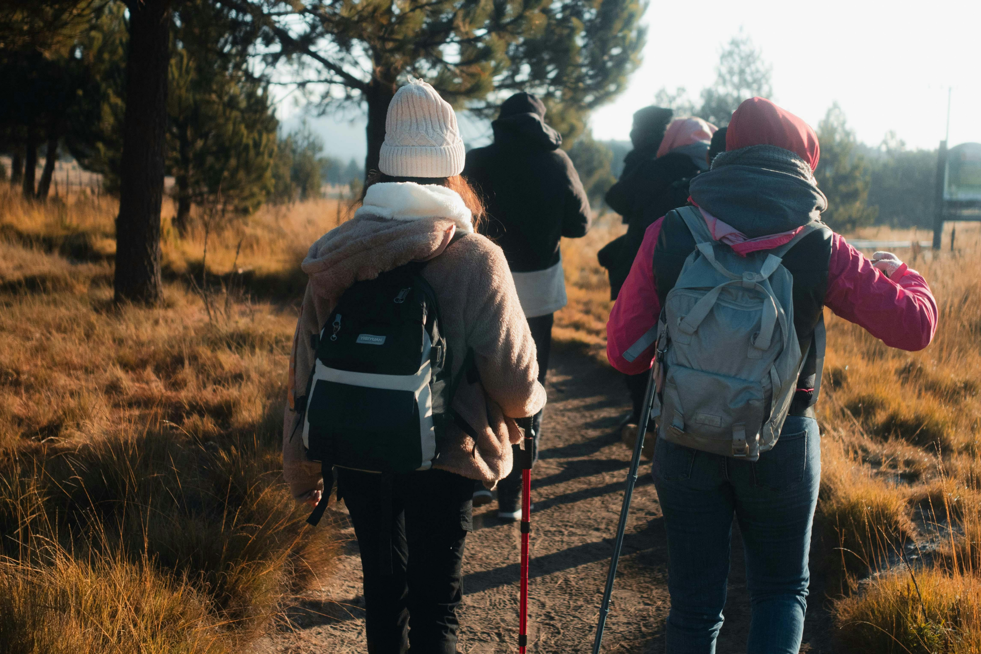 CFSurrey launches Green Health &amp; Wellbeing Programme in partnership with Surrey County Council&nbsp;