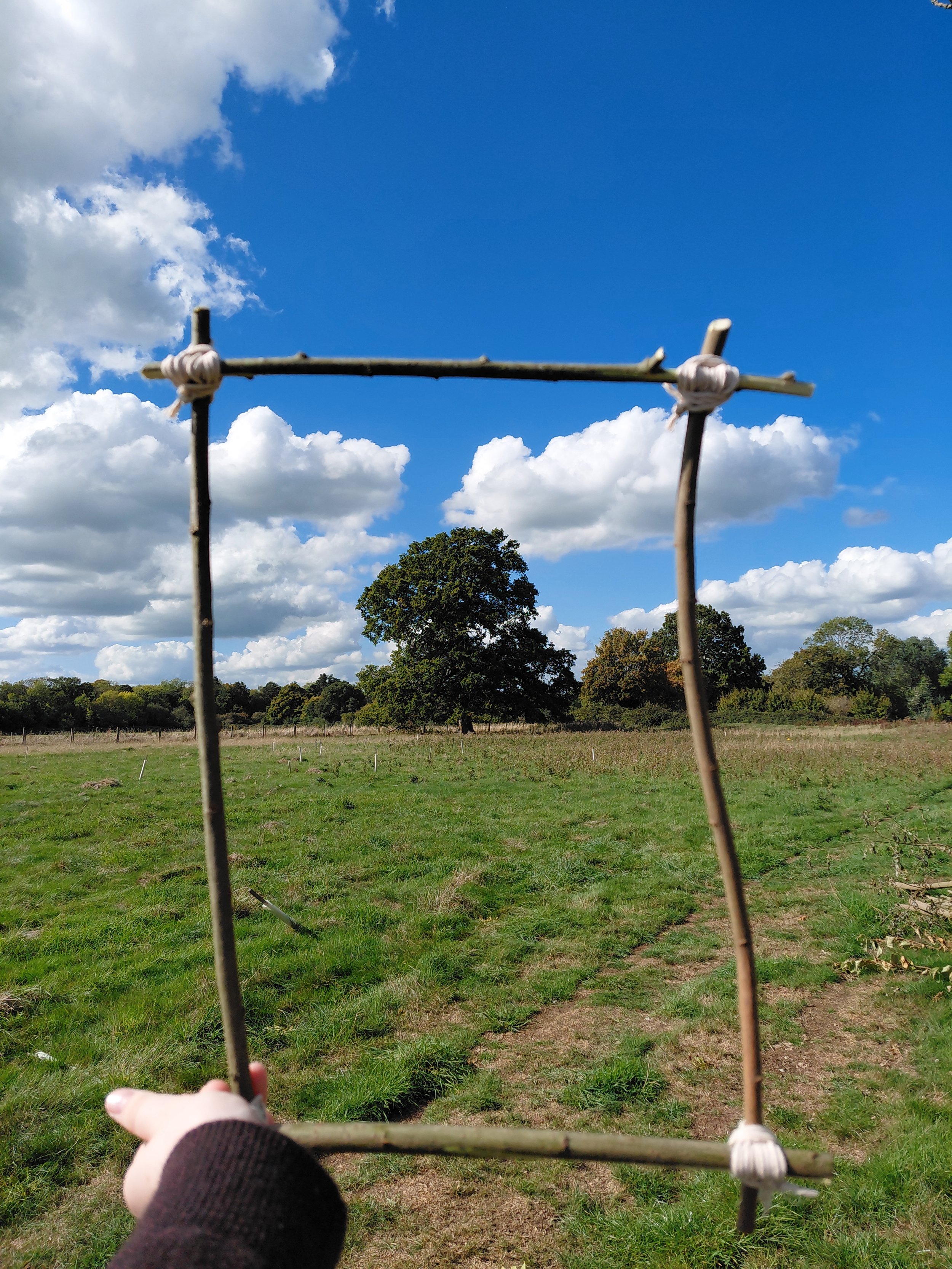 Wooden frame around large tree in distance, green grass and blue sky with white rolling clouds