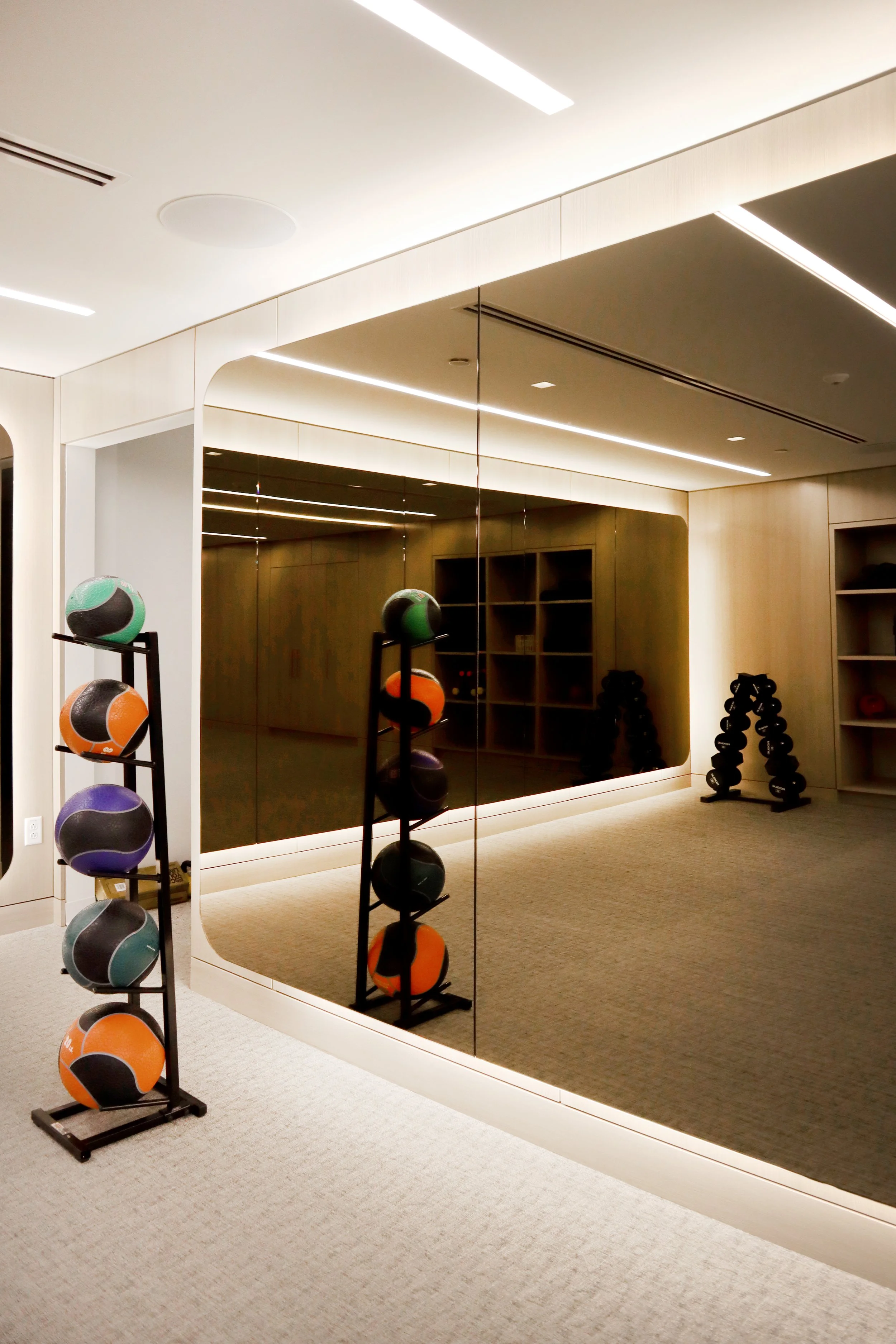 Full-Wall Specialty Glass Custom Gym Mirror