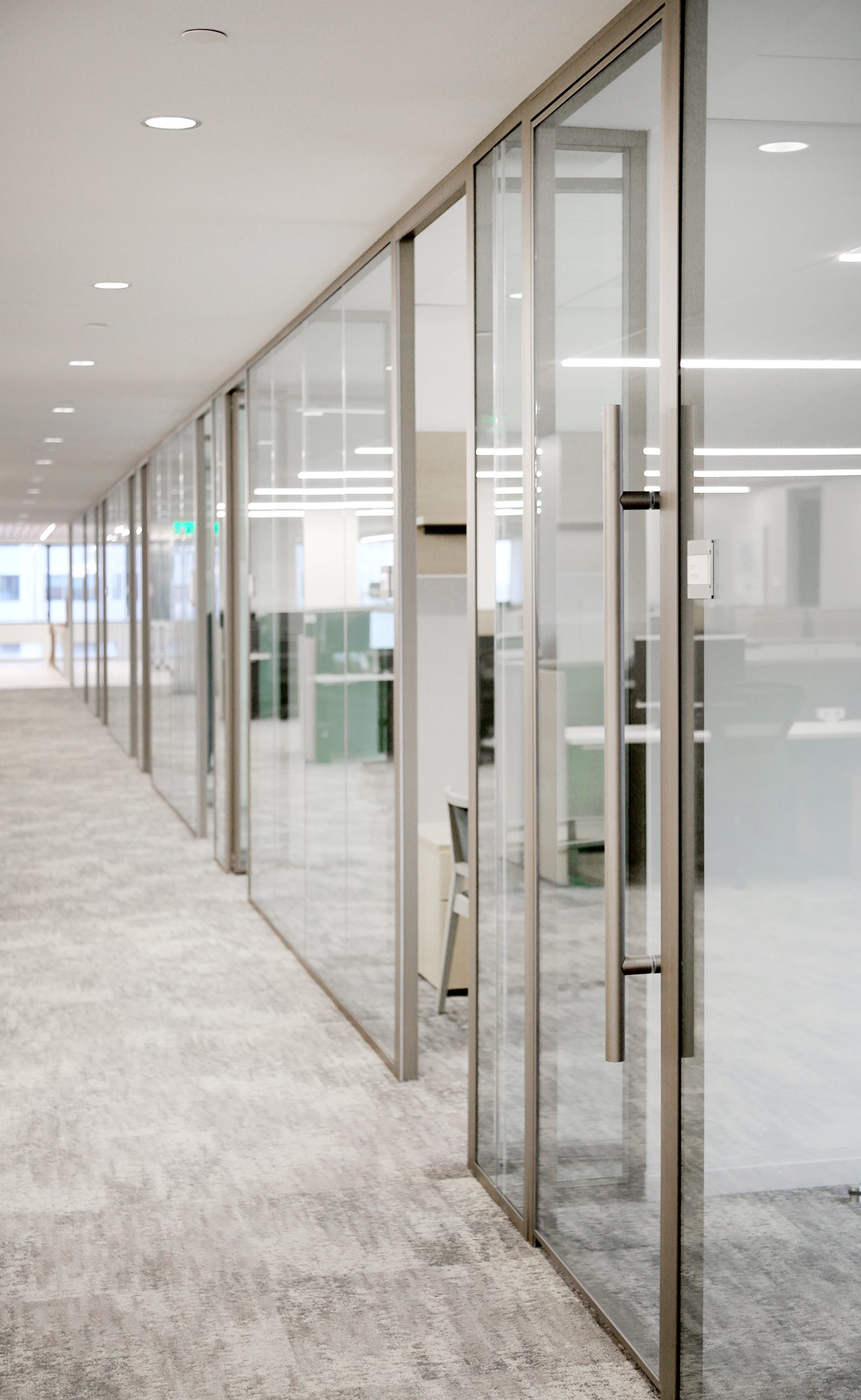 Modernus Lama Champagne Finish Demountable Frames