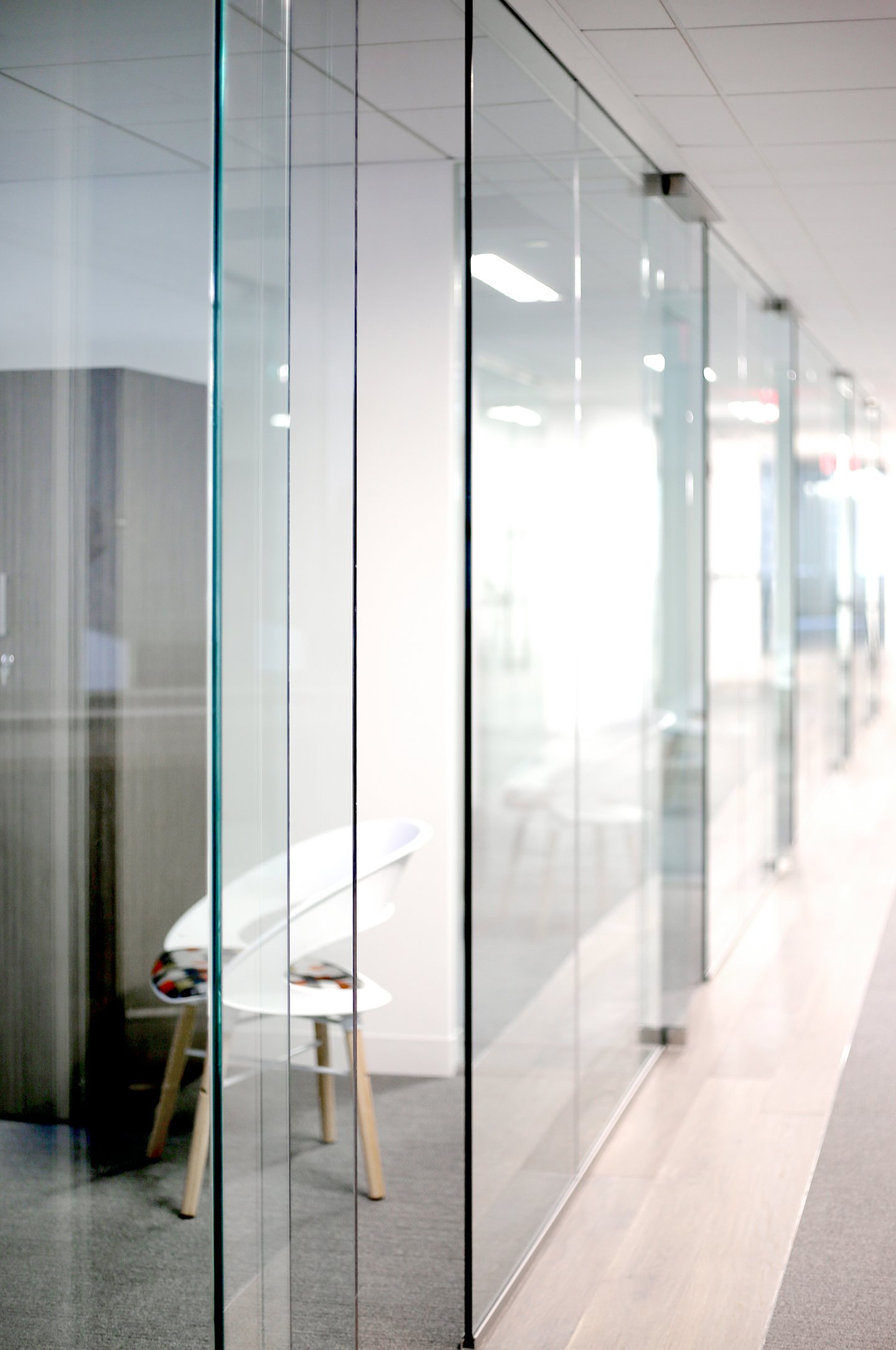 Illume Frameless Swing Pivot Door