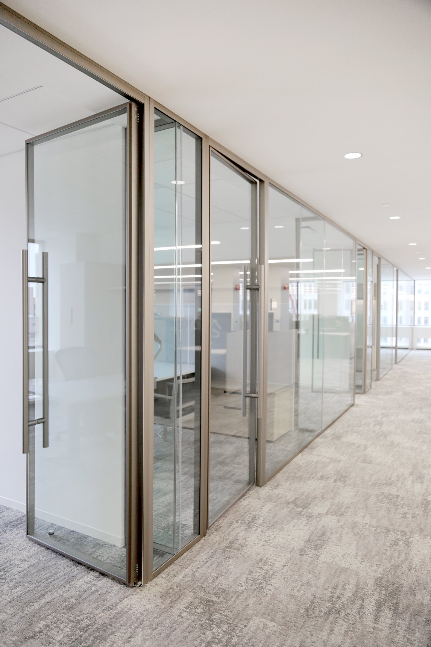 Modernus Thin Aluminum Framed Doors