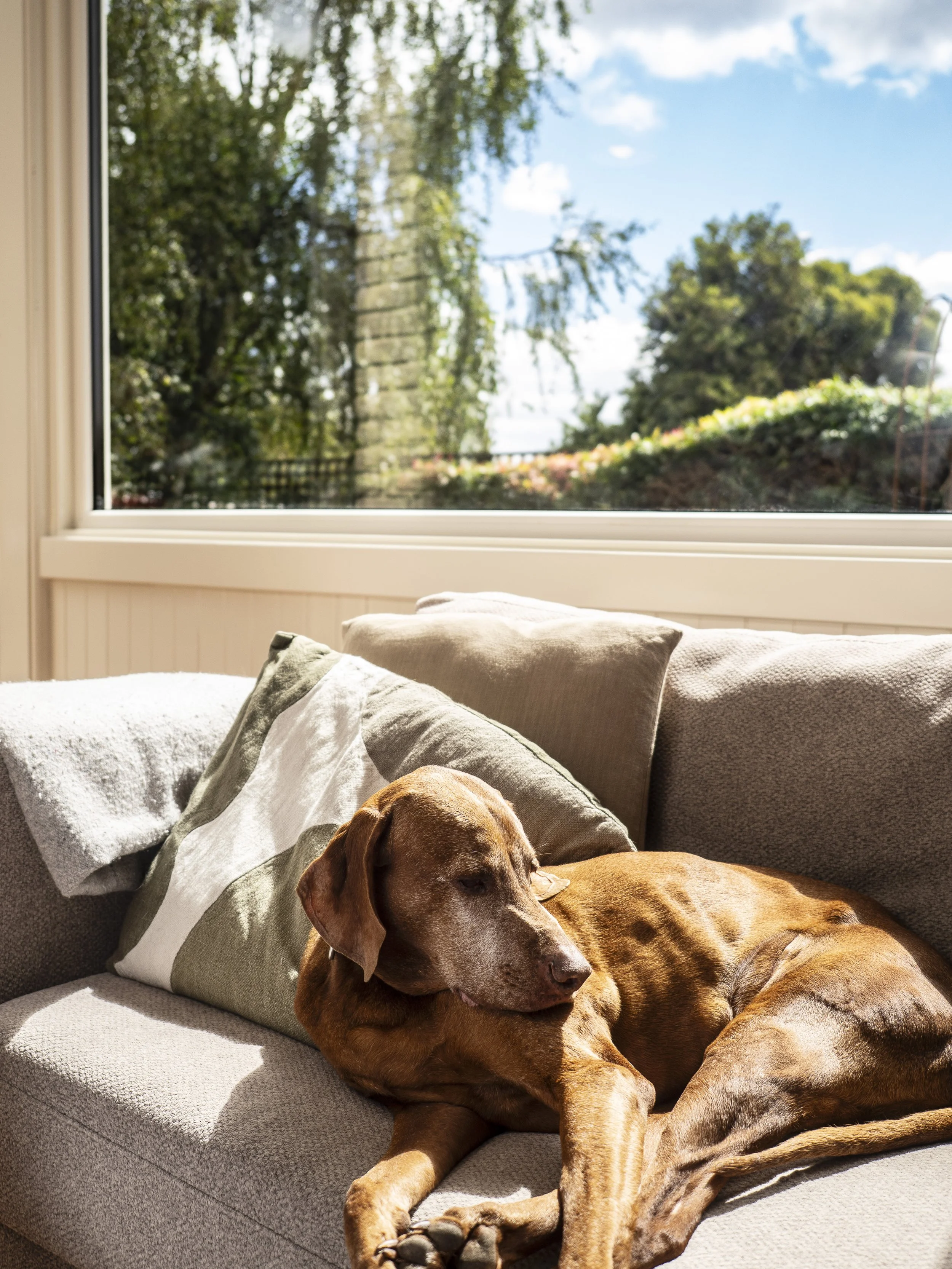 Drew Projects Lewan Ave - 11.jpg