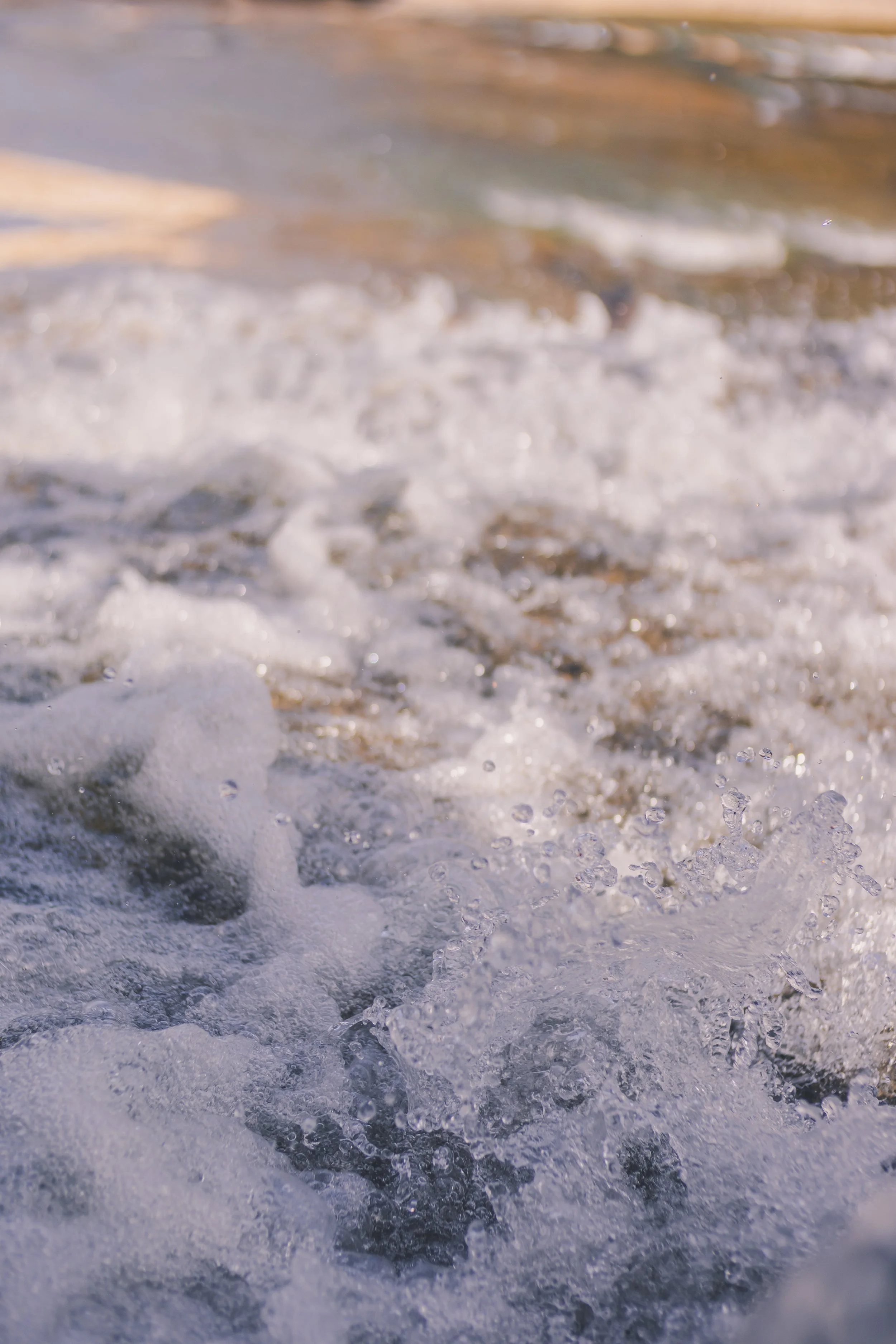 cataract falls-33.jpg