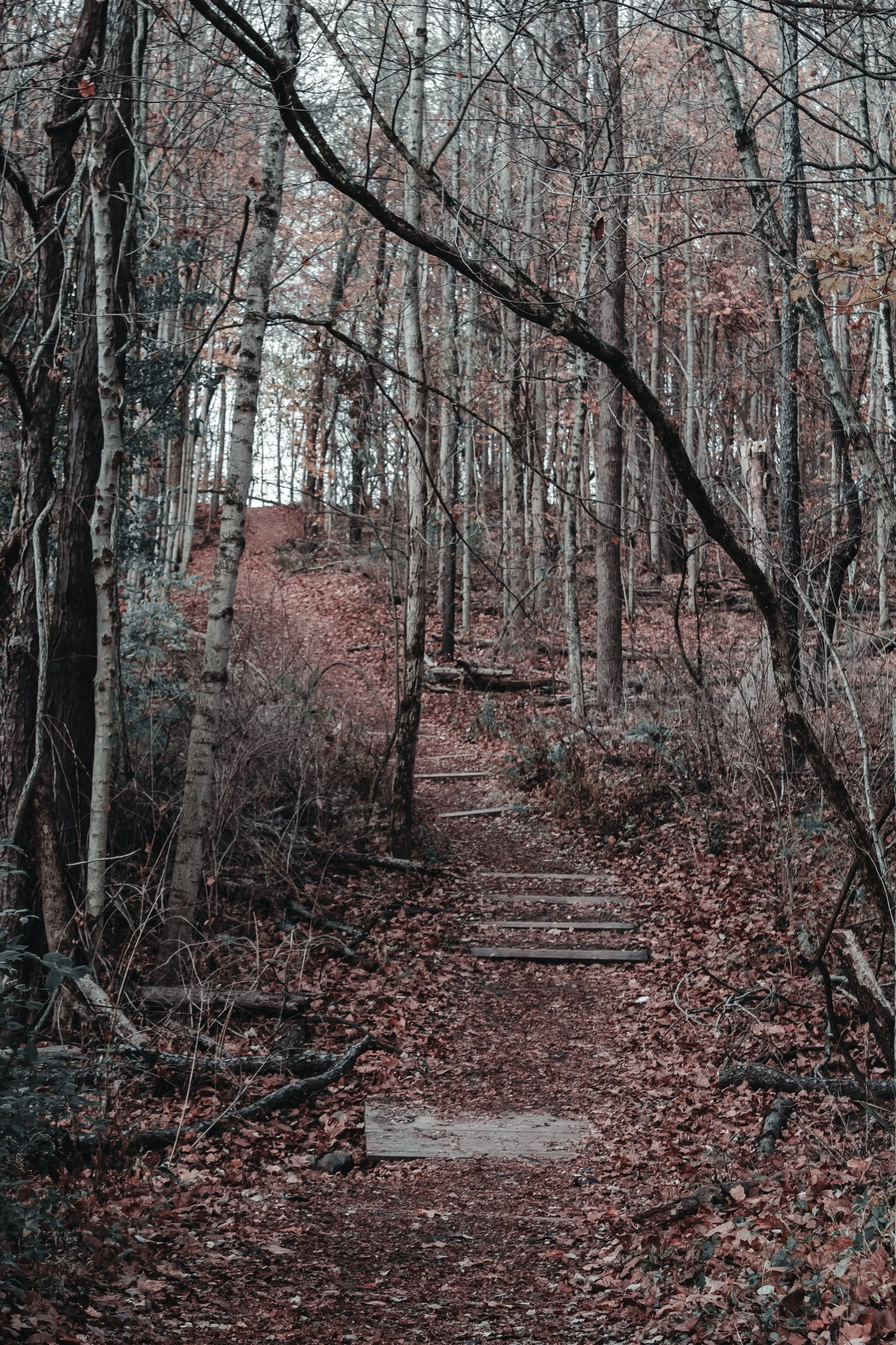 Content Pack 5-4.jpg