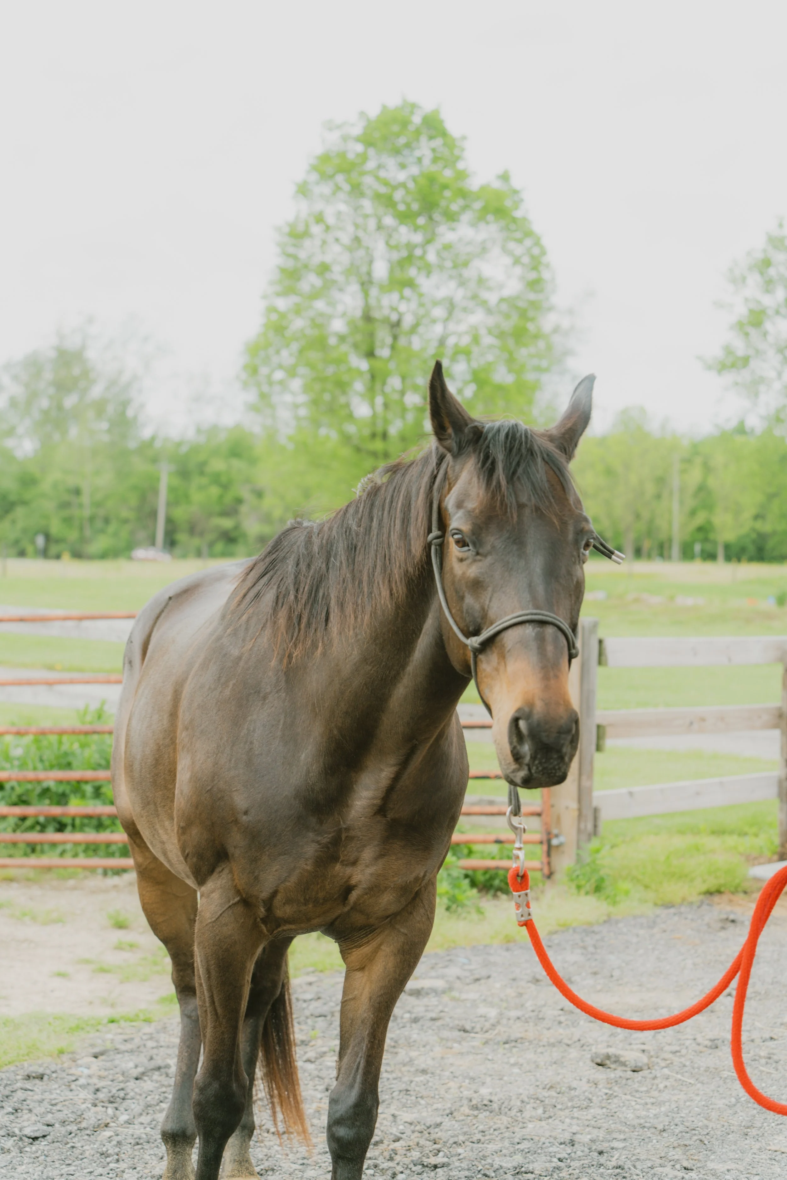 cole and reese_-41.jpg