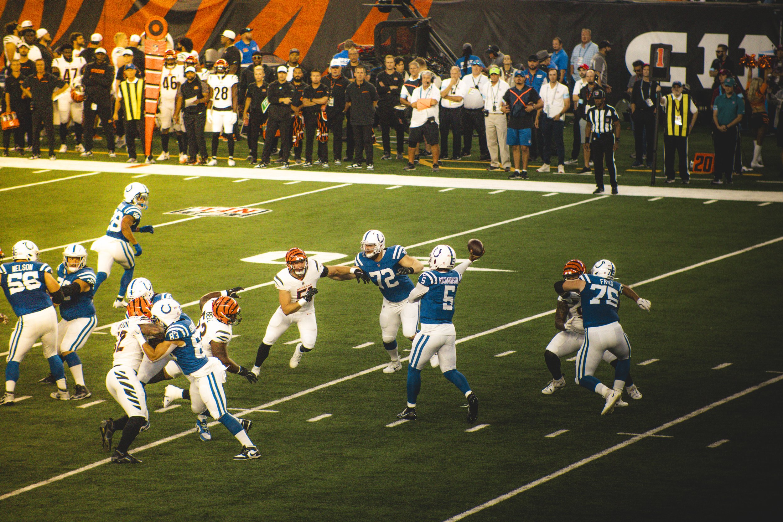 bengals-15.jpg