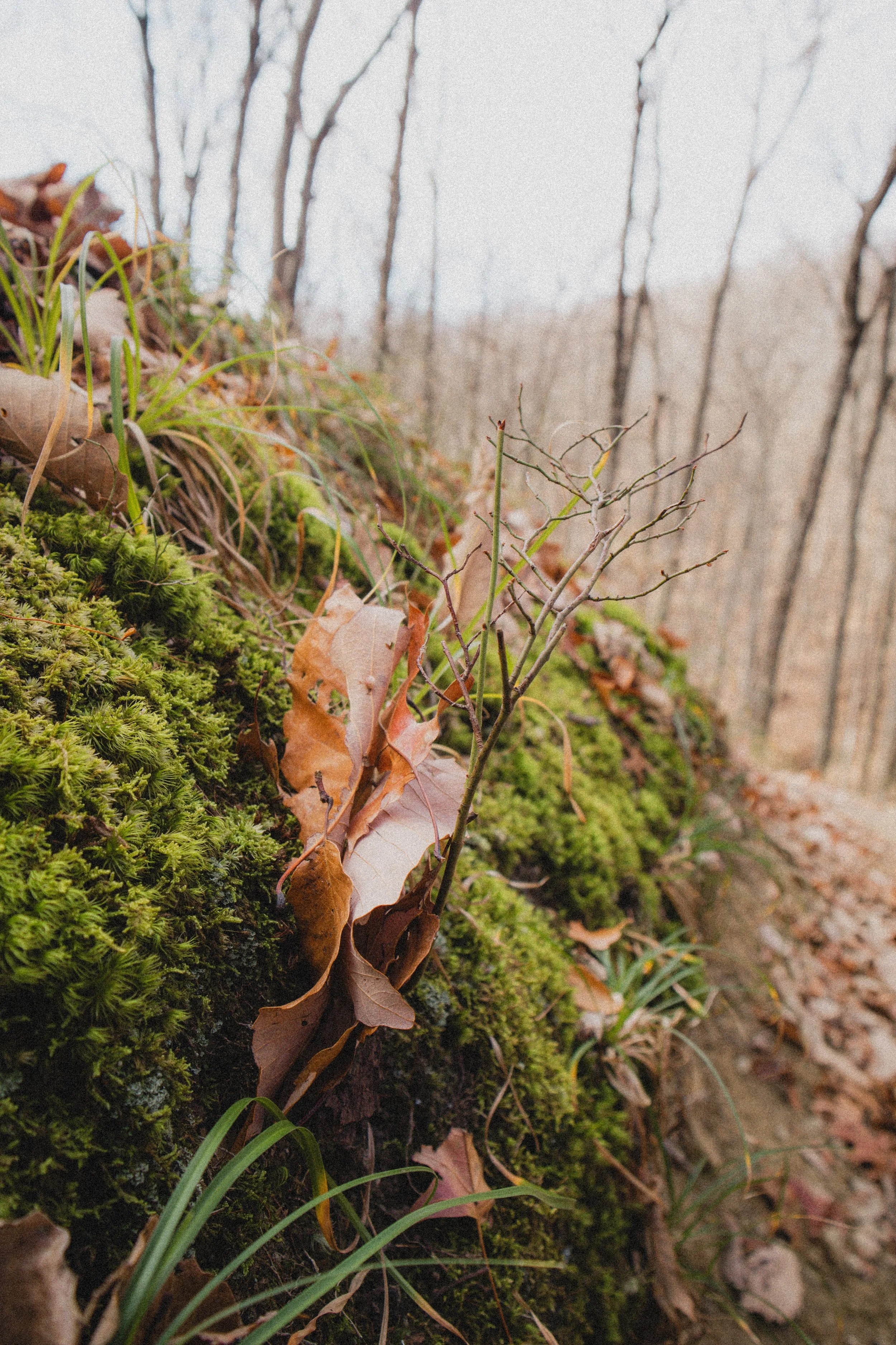 Content Pack 7-20.jpg