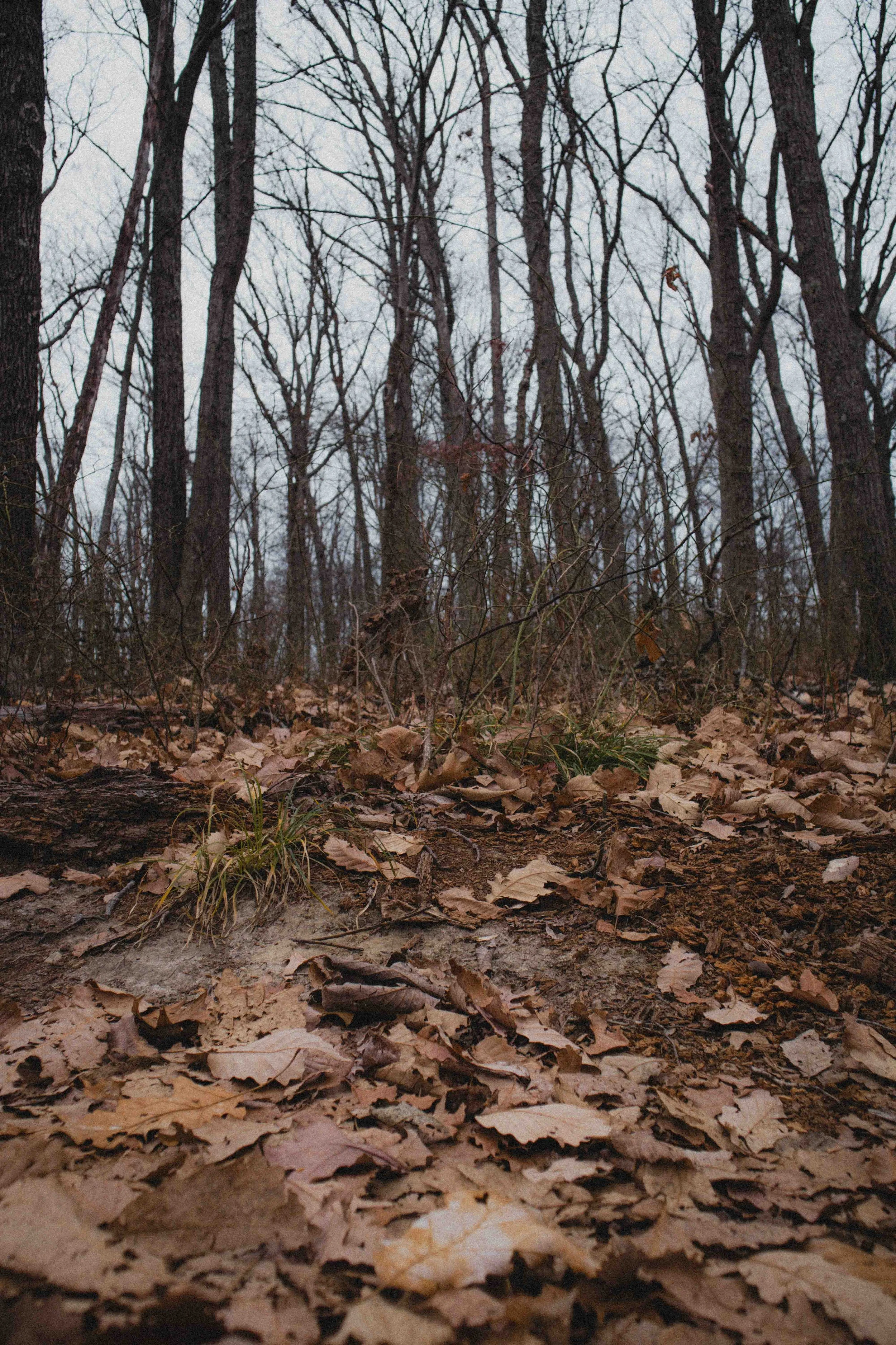 borwnocunty20mb (30 of 30).jpg