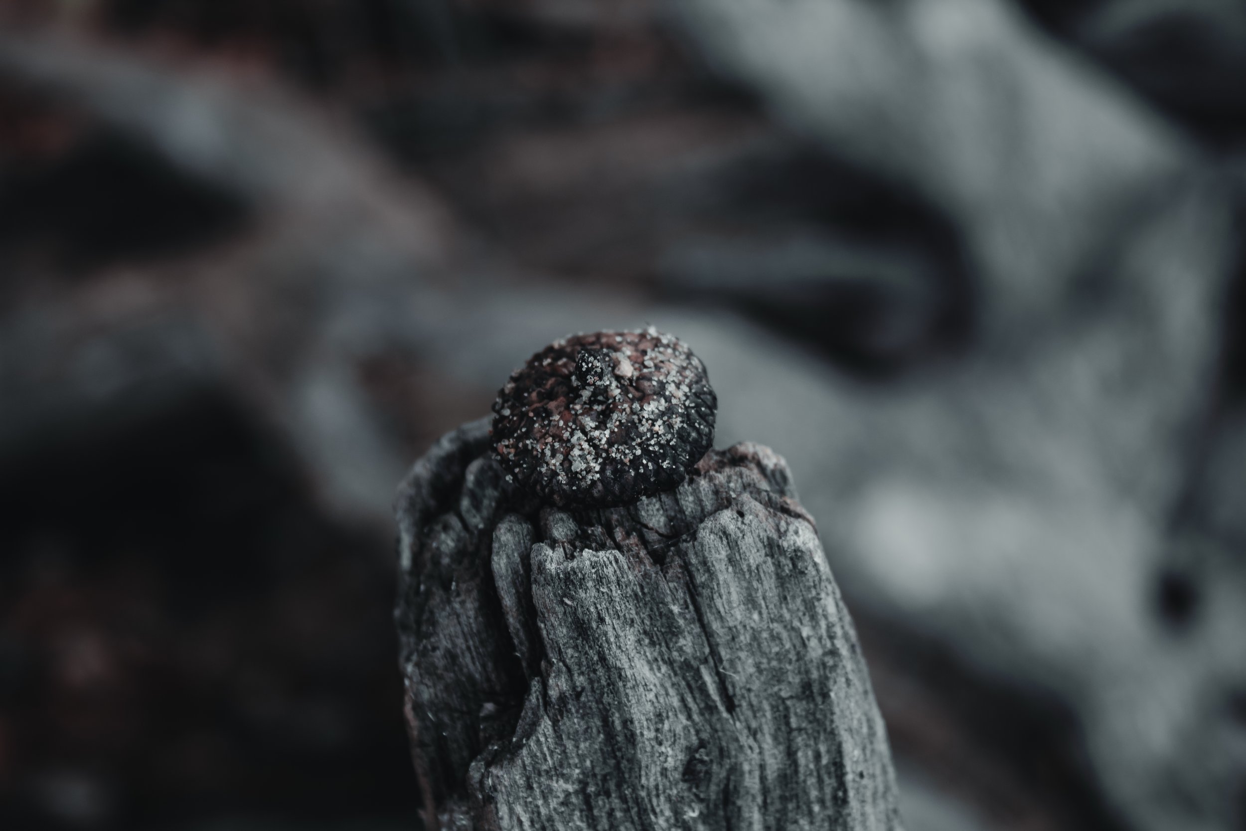 Content Pack 5-15.jpg