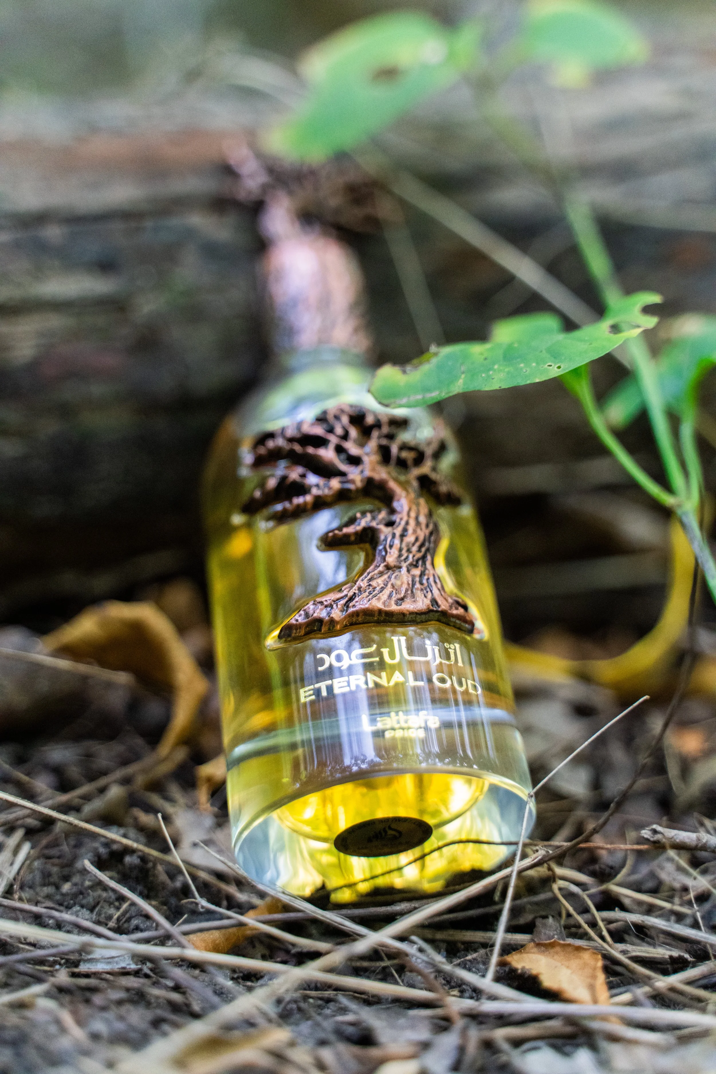 eternal oud ad 1-5.jpg