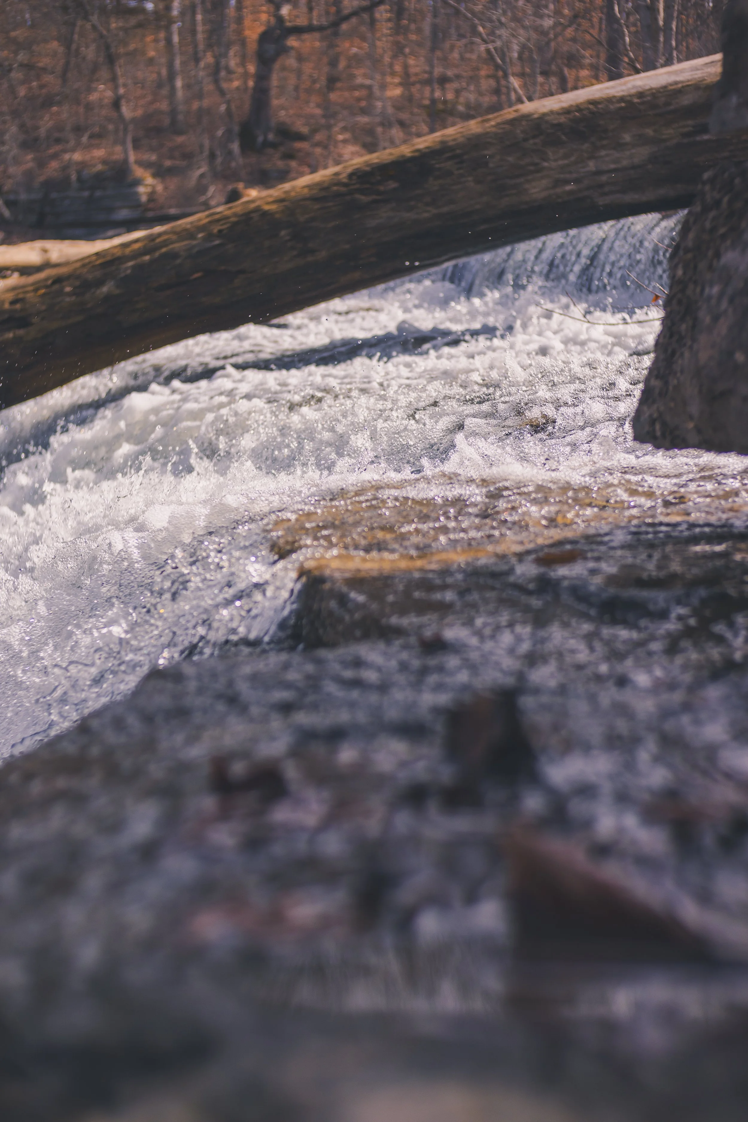 cataract falls-31.jpg