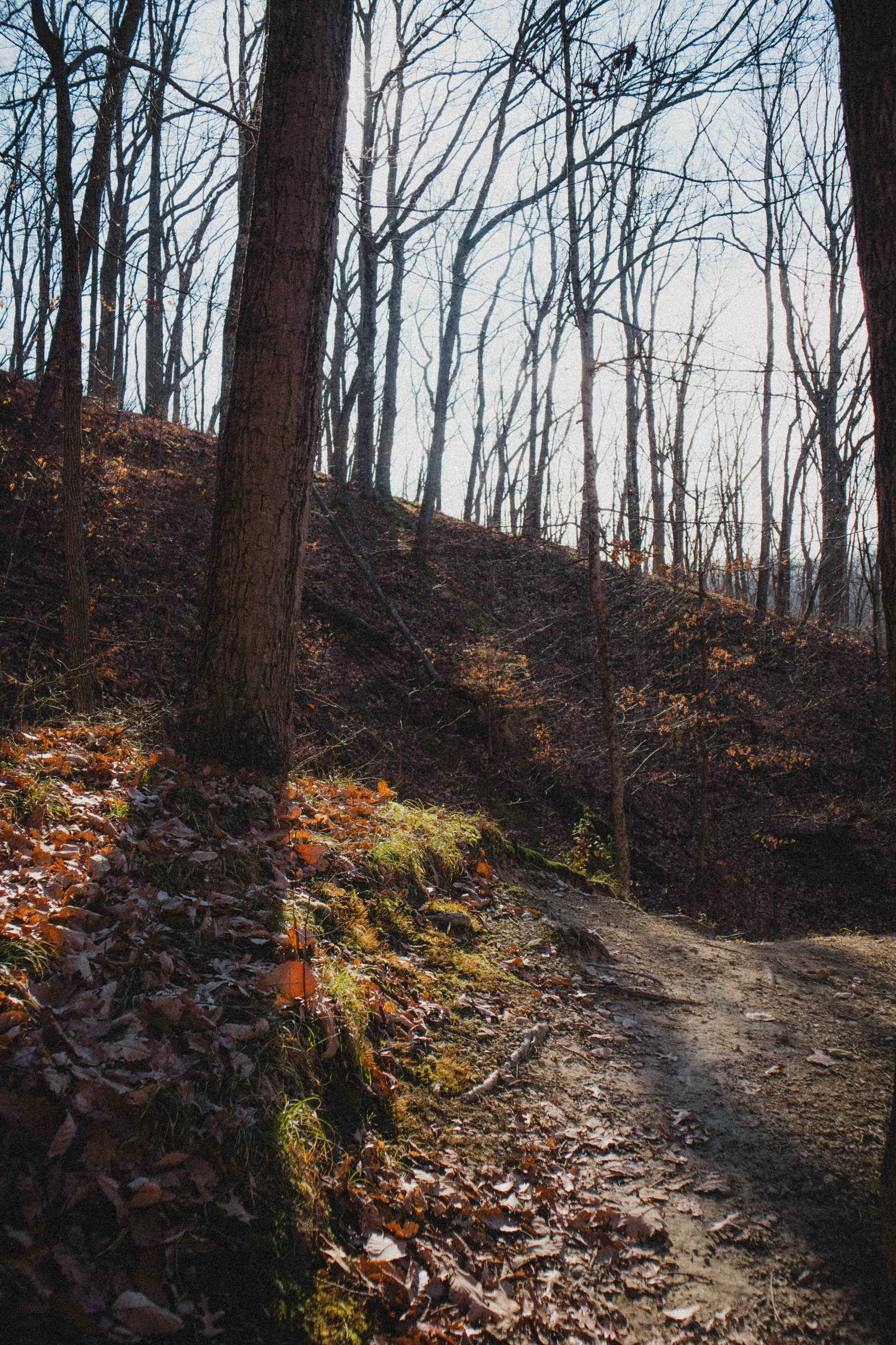 borwnocunty20mb (5 of 30).jpg