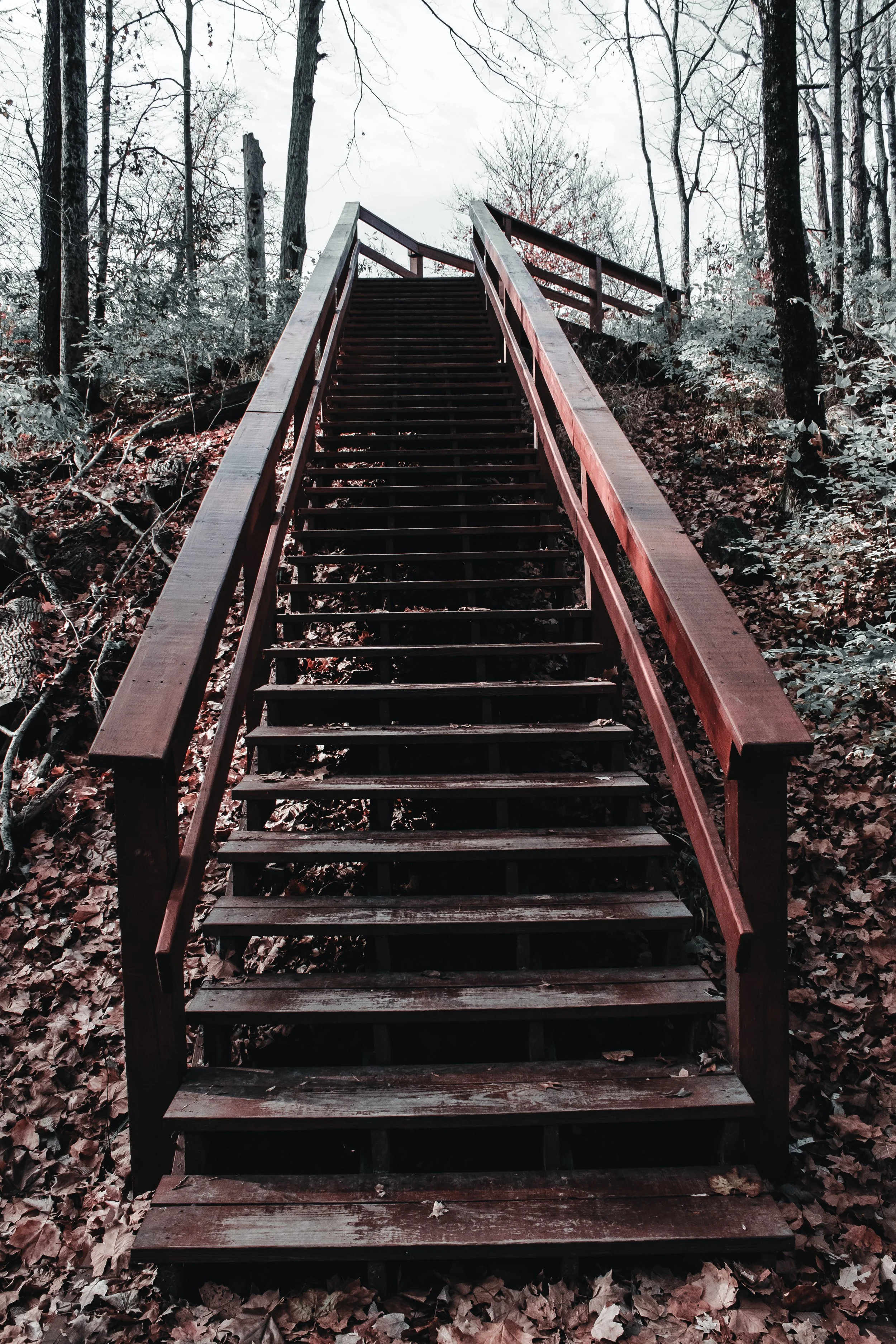 Content Pack 5-19.jpg