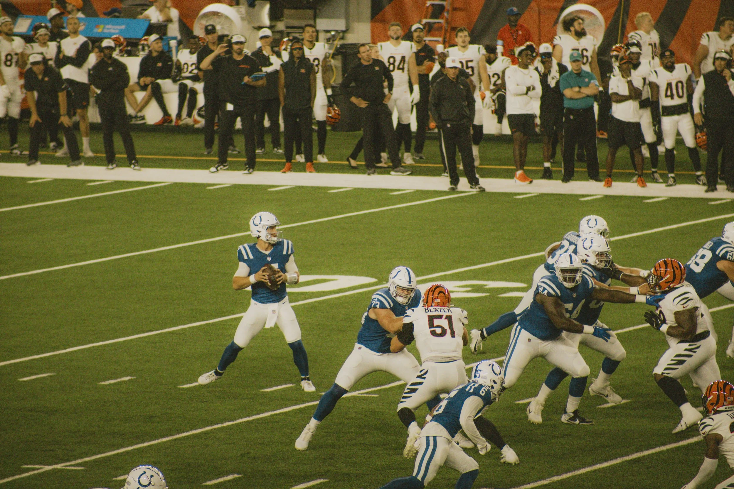 bengals-35.jpg