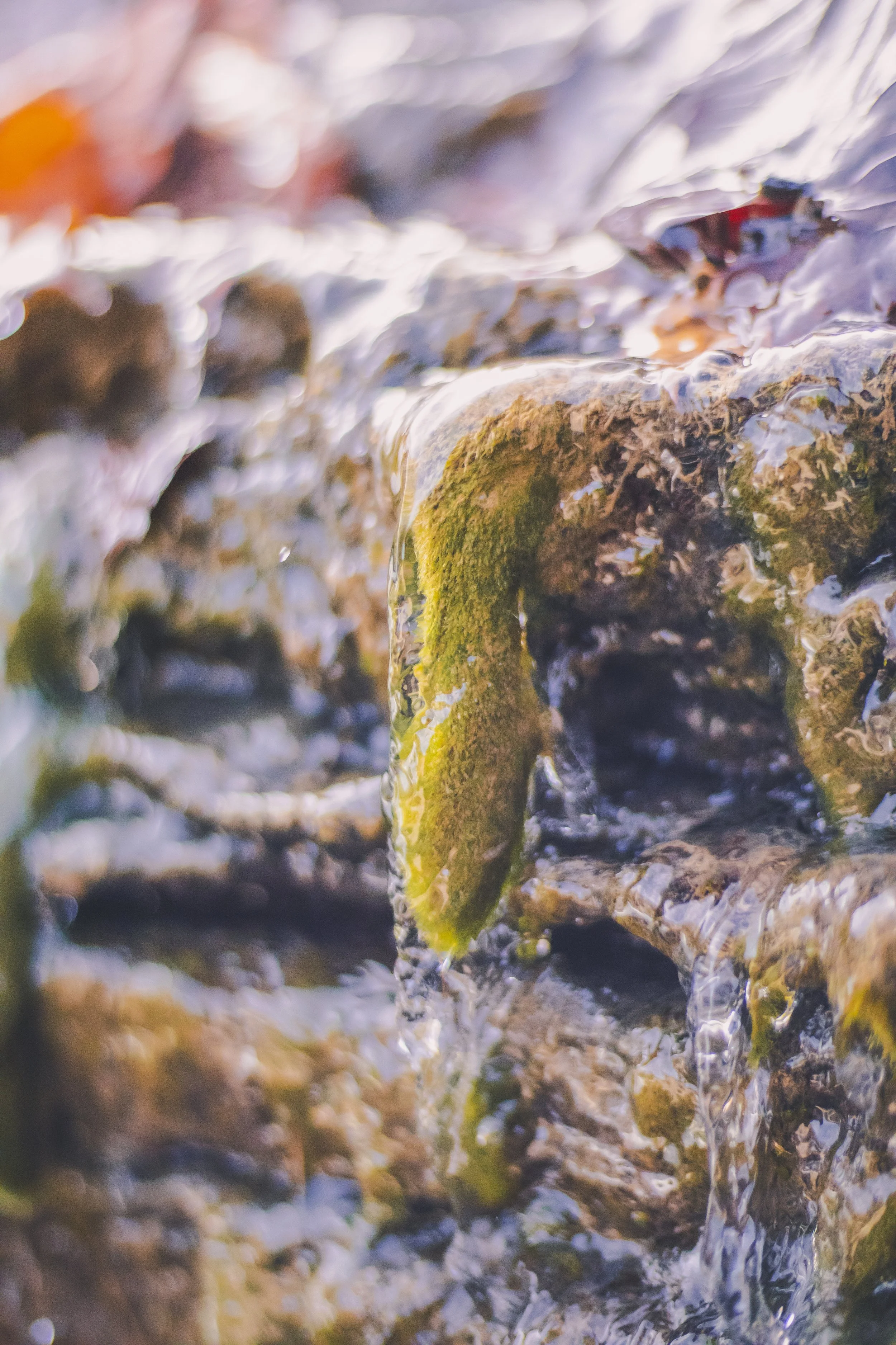 cataract falls-27.jpg