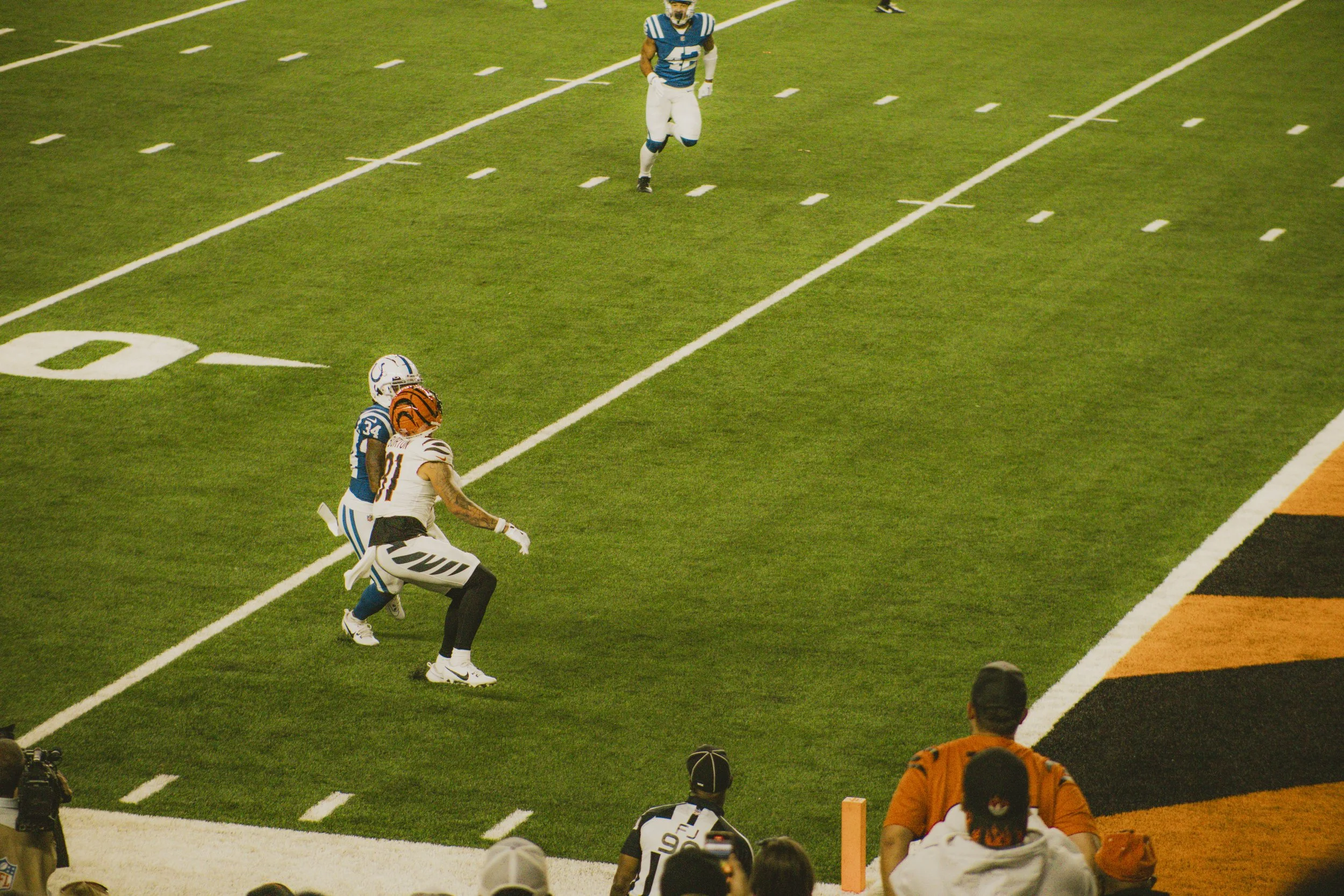 bengals-66.jpg
