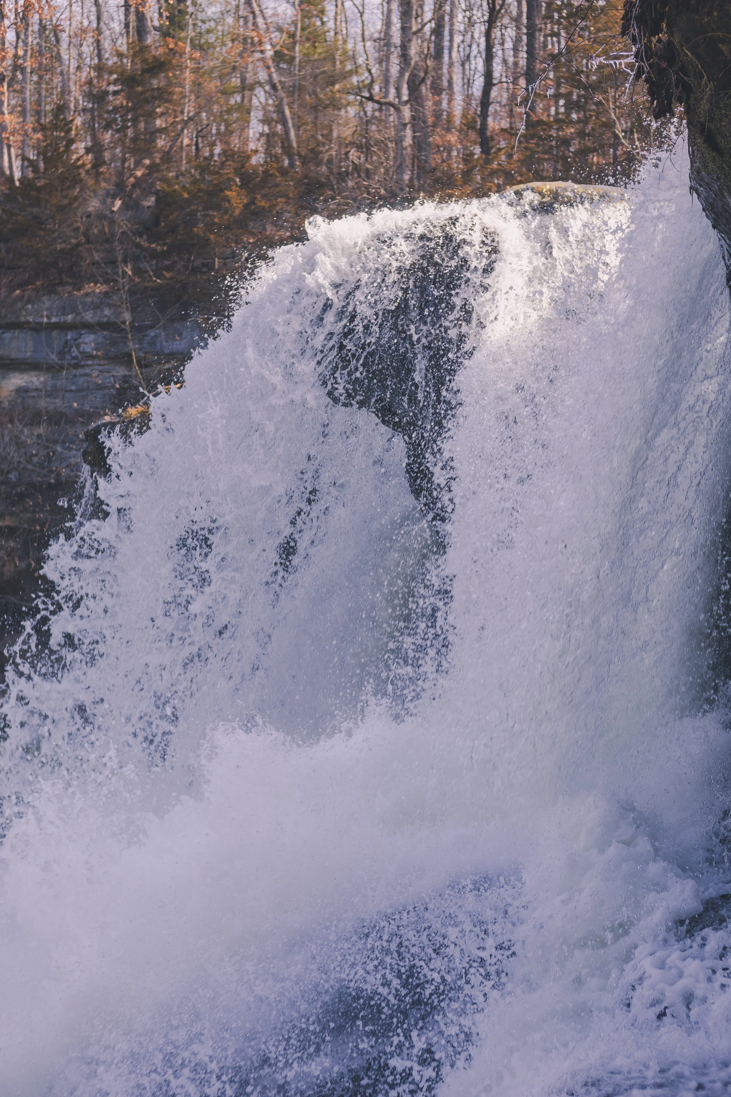 cataract falls-5.jpg