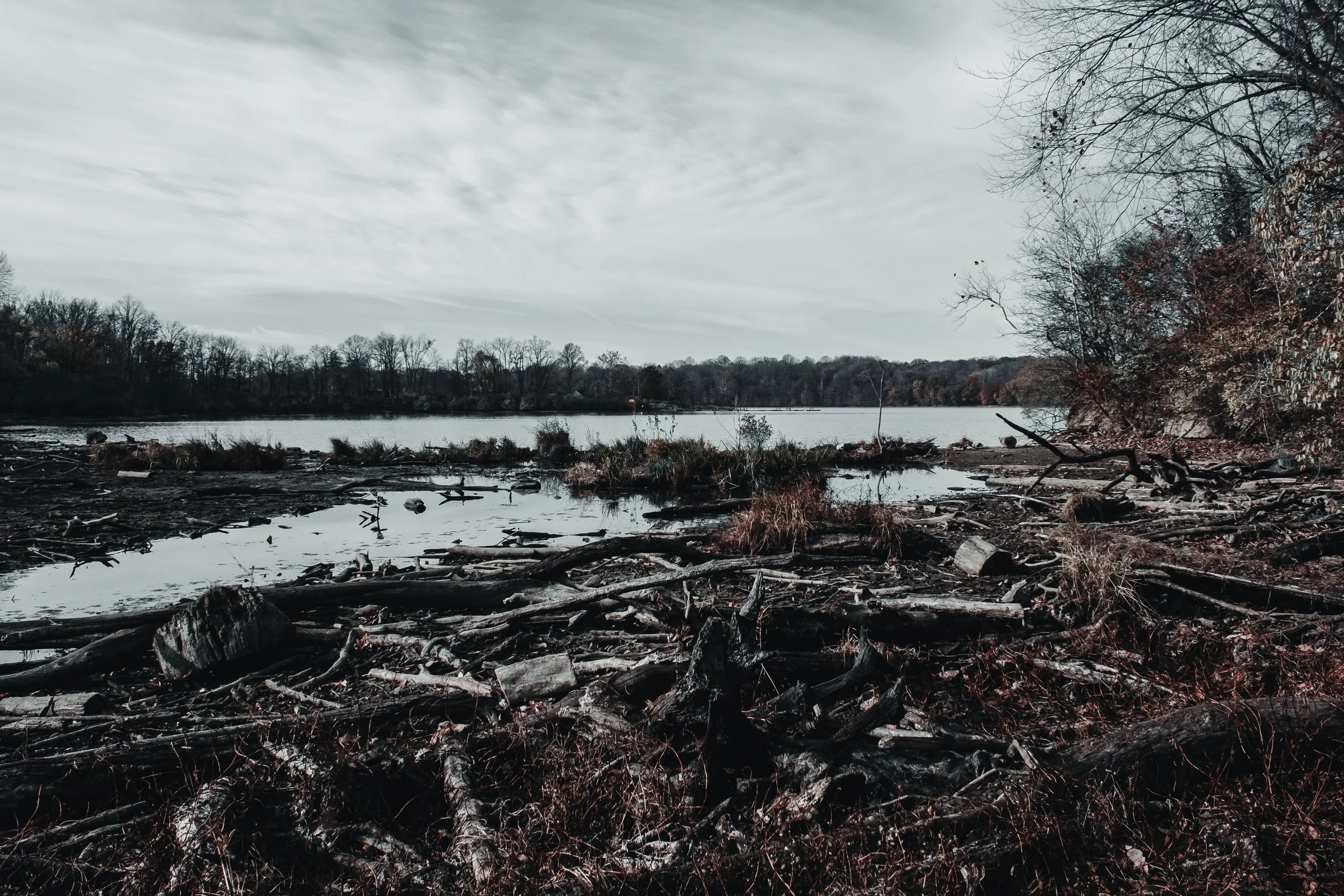 Content Pack 5-17.jpg