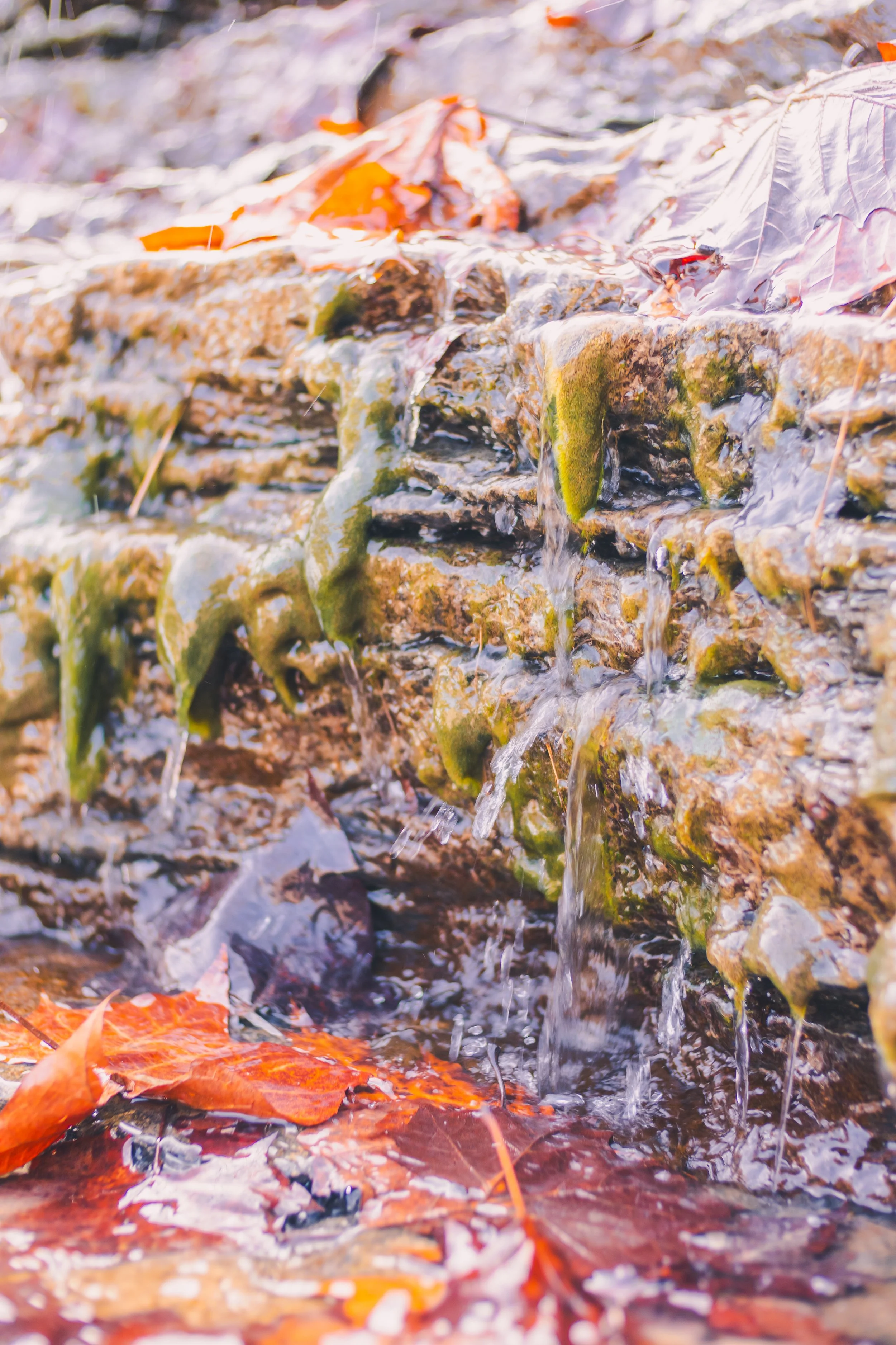 cadarac falls 1-24.jpg