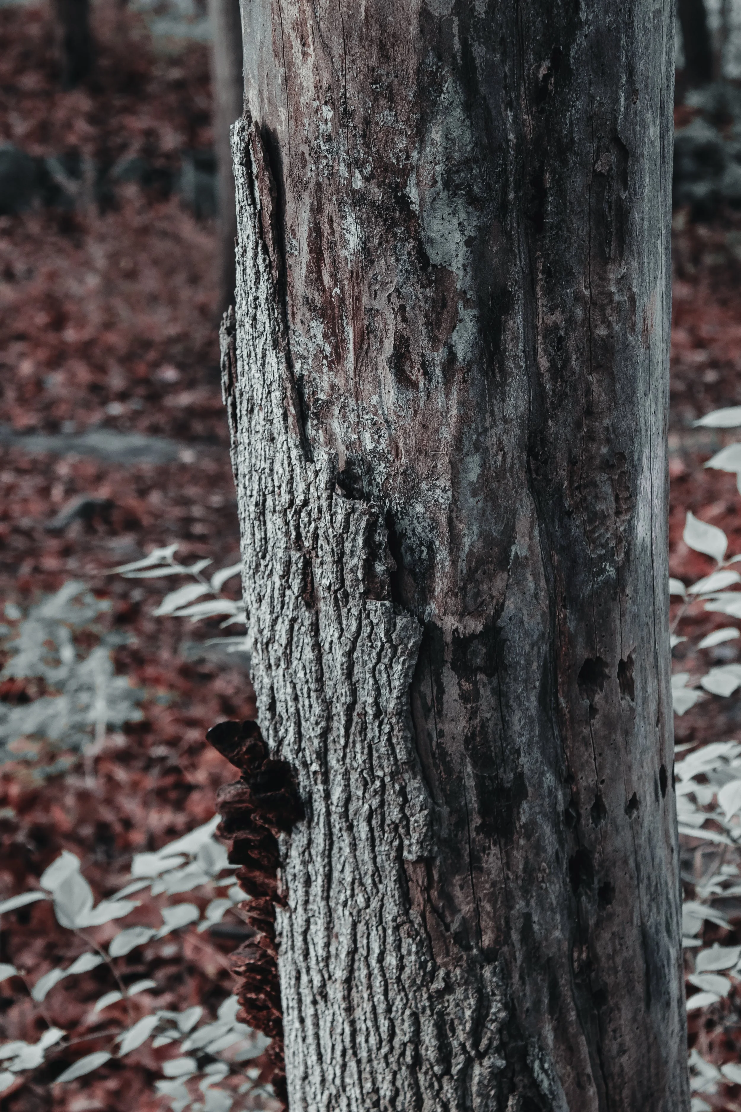 Content Pack 5-7.jpg