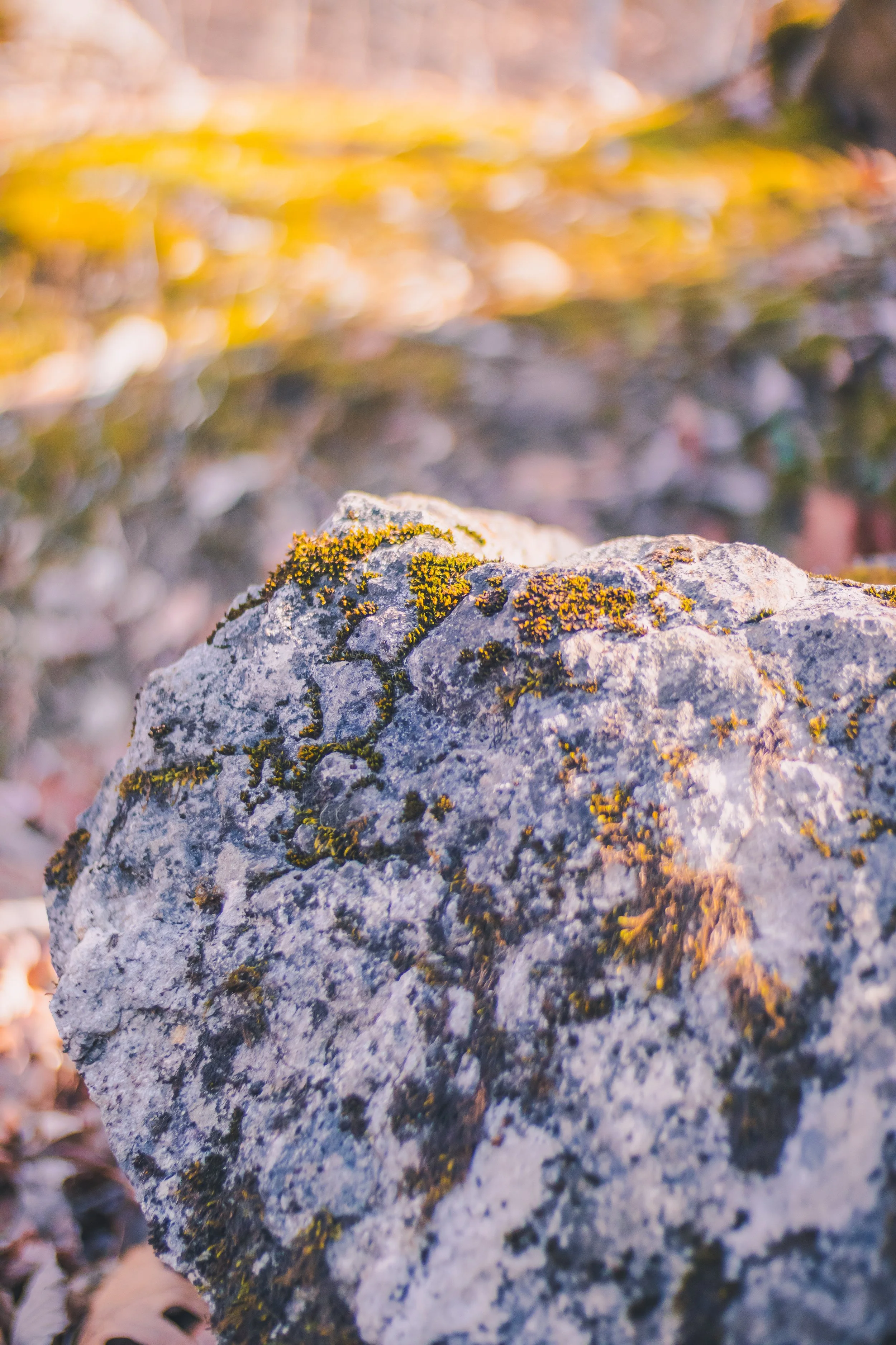 cadarac falls 1-41.jpg