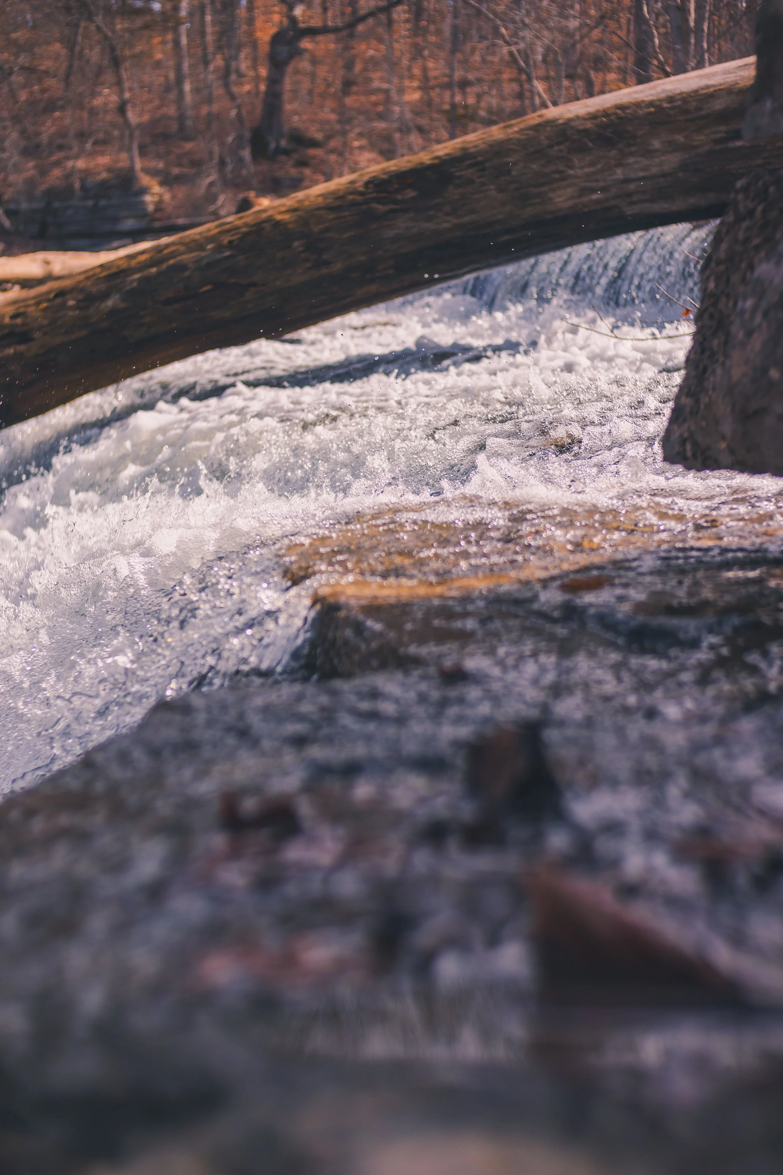 cadarac falls 1-31.jpg