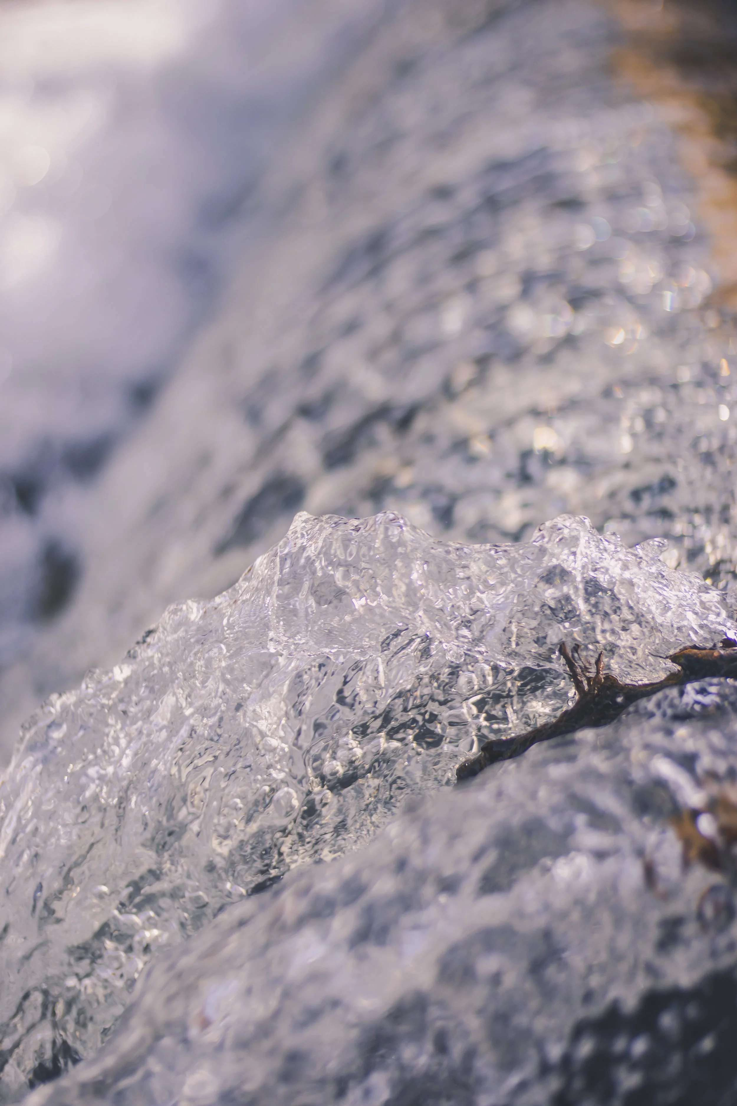 cataract falls-36.jpg