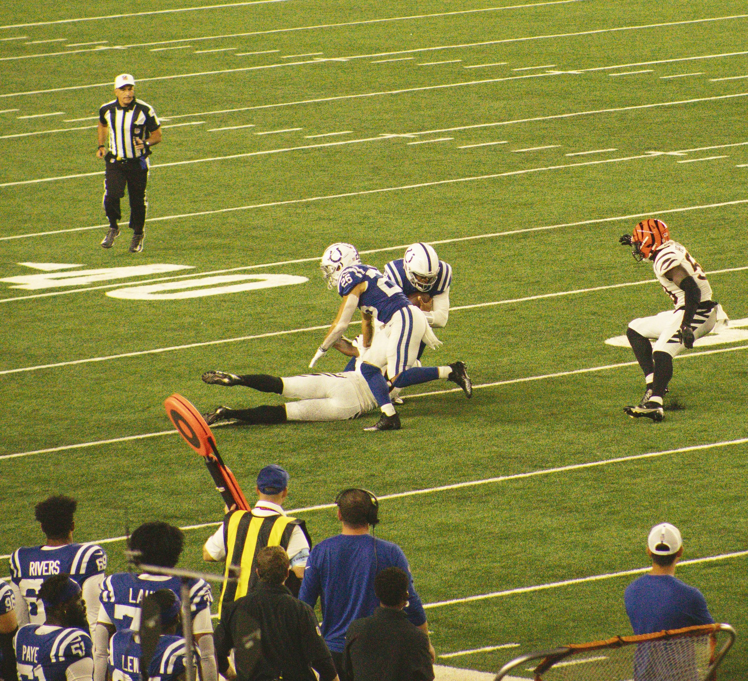 bengals-27.jpg