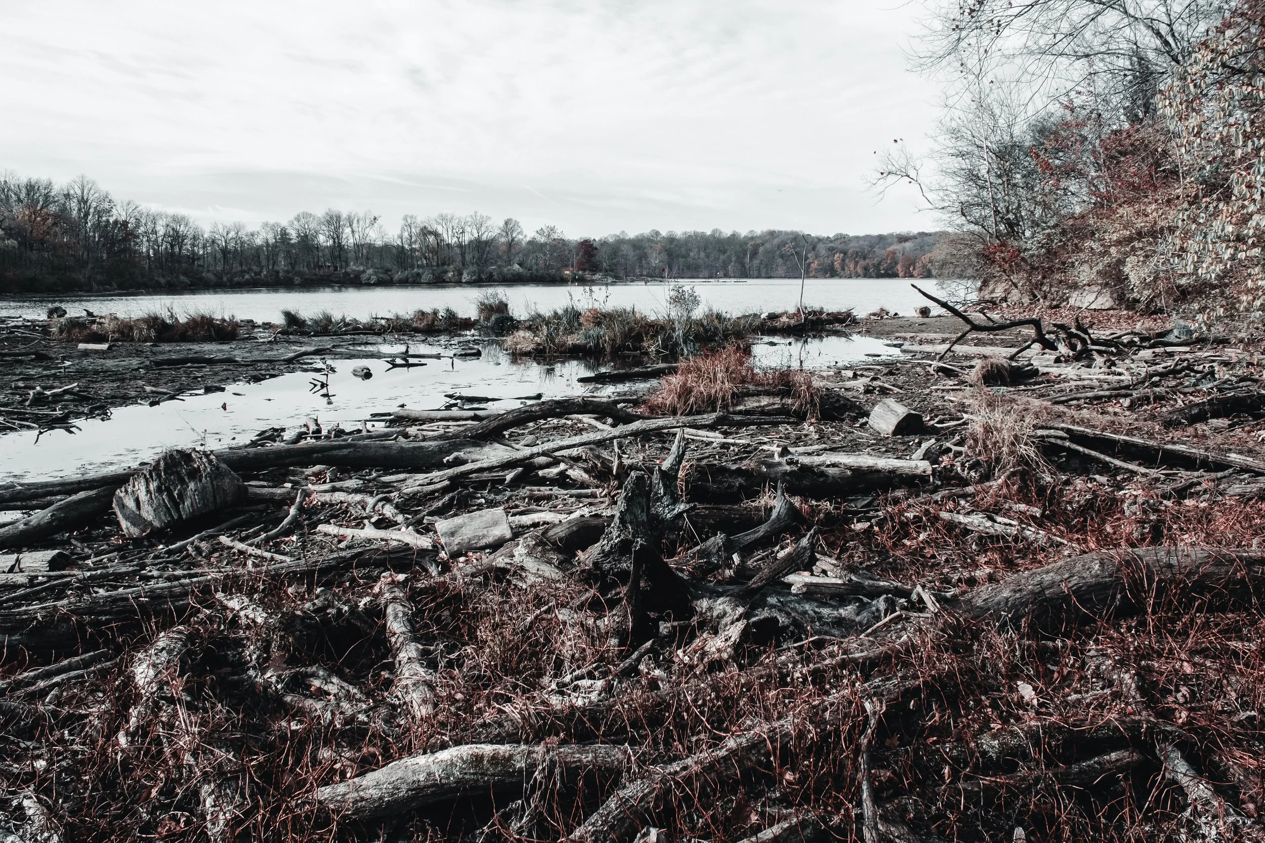 Content Pack 5-16.jpg