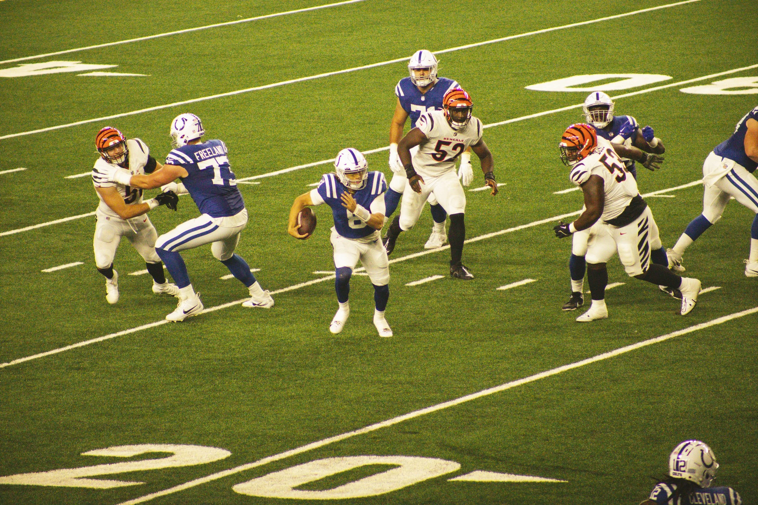 bengals-52.jpg