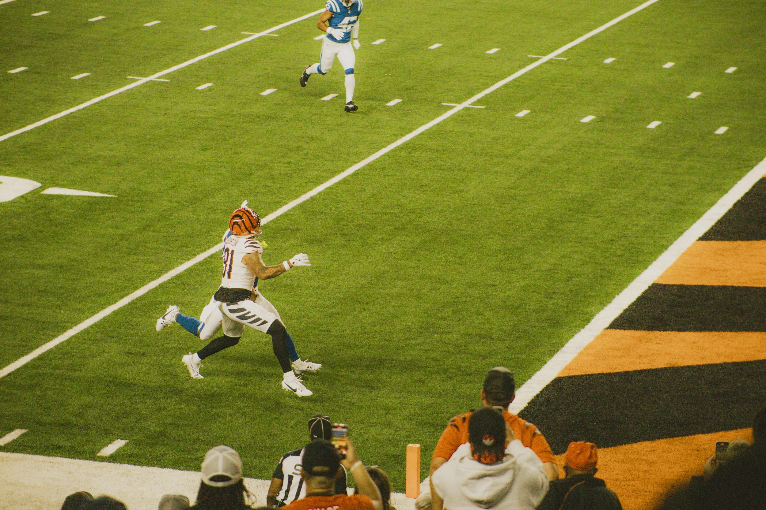 bengals-67.jpg