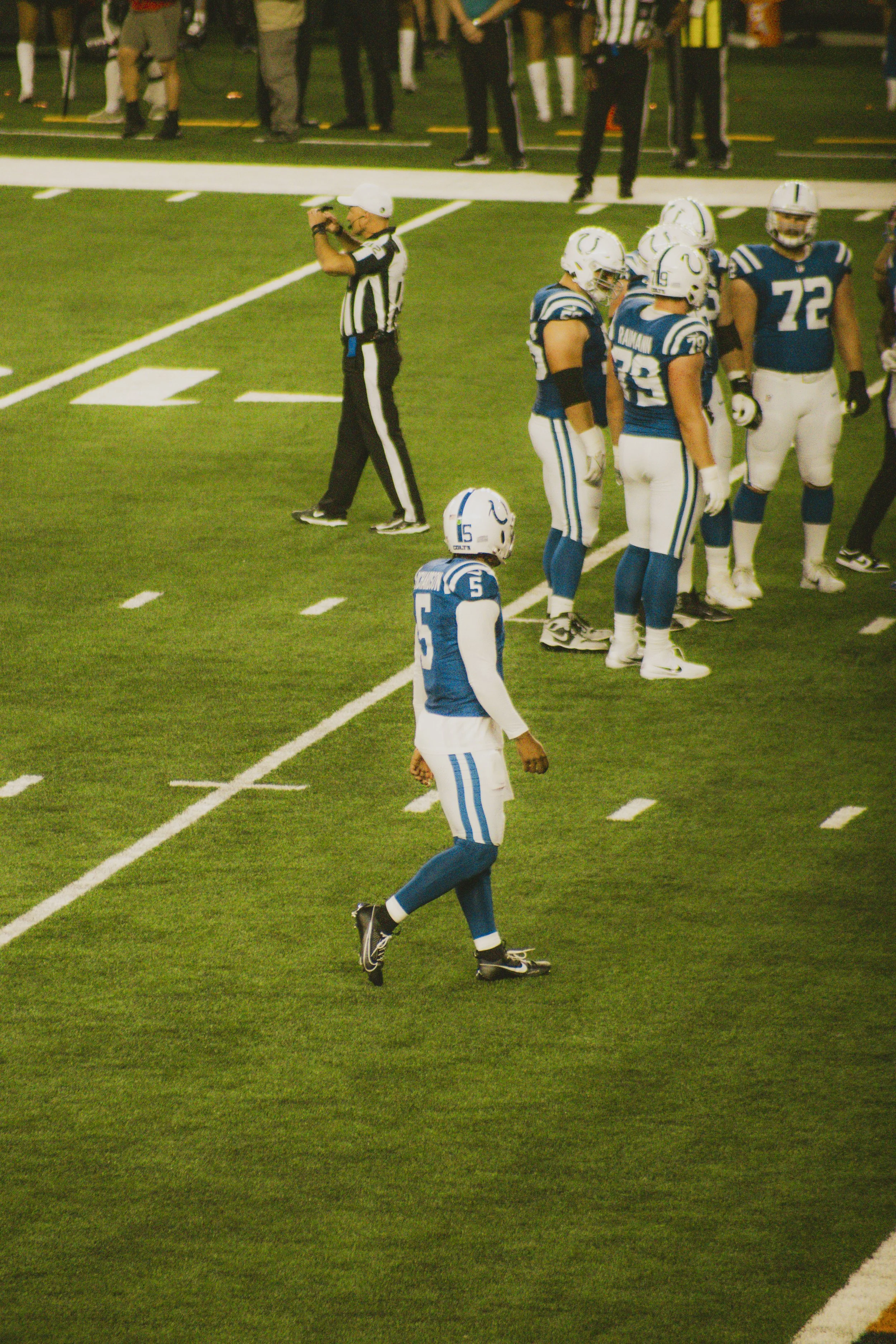 bengals-17.jpg