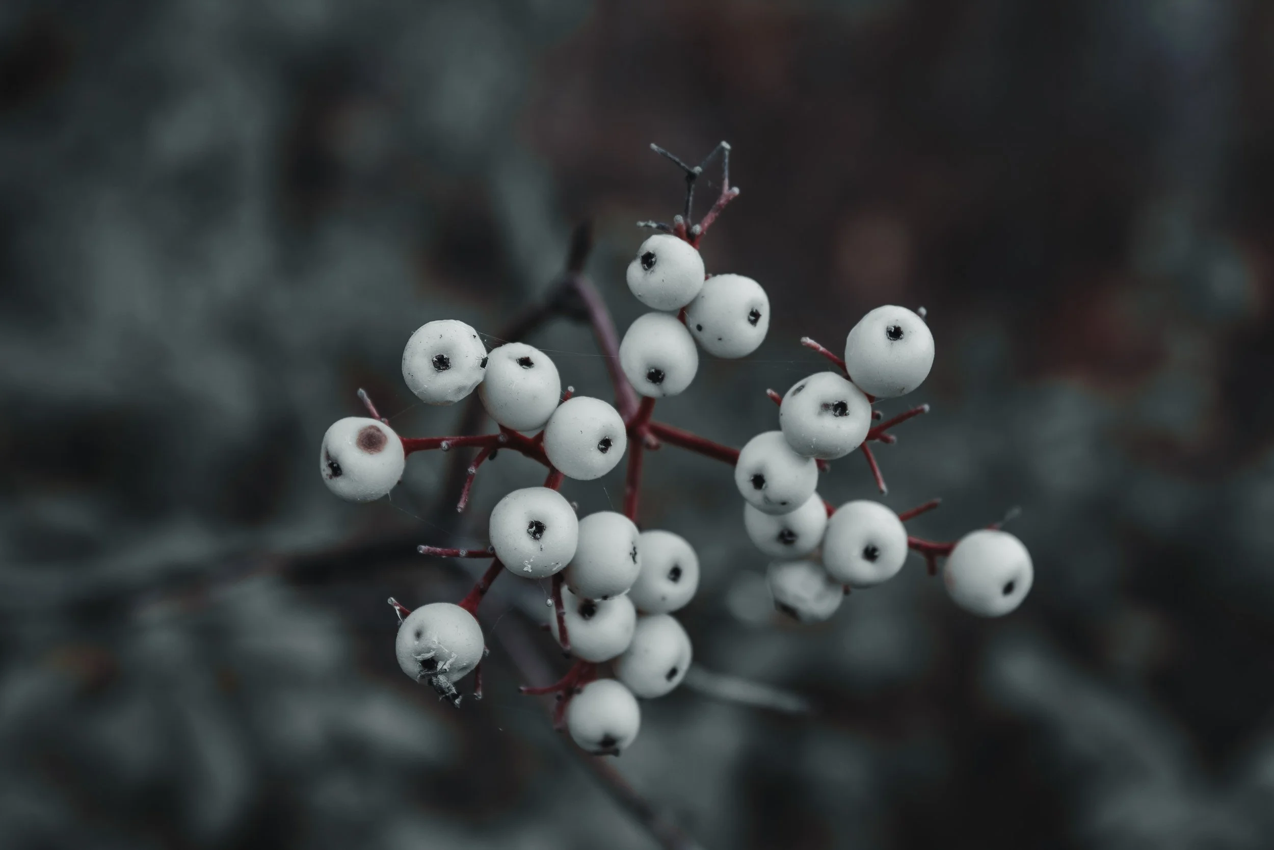 Content Pack 5-14.jpg