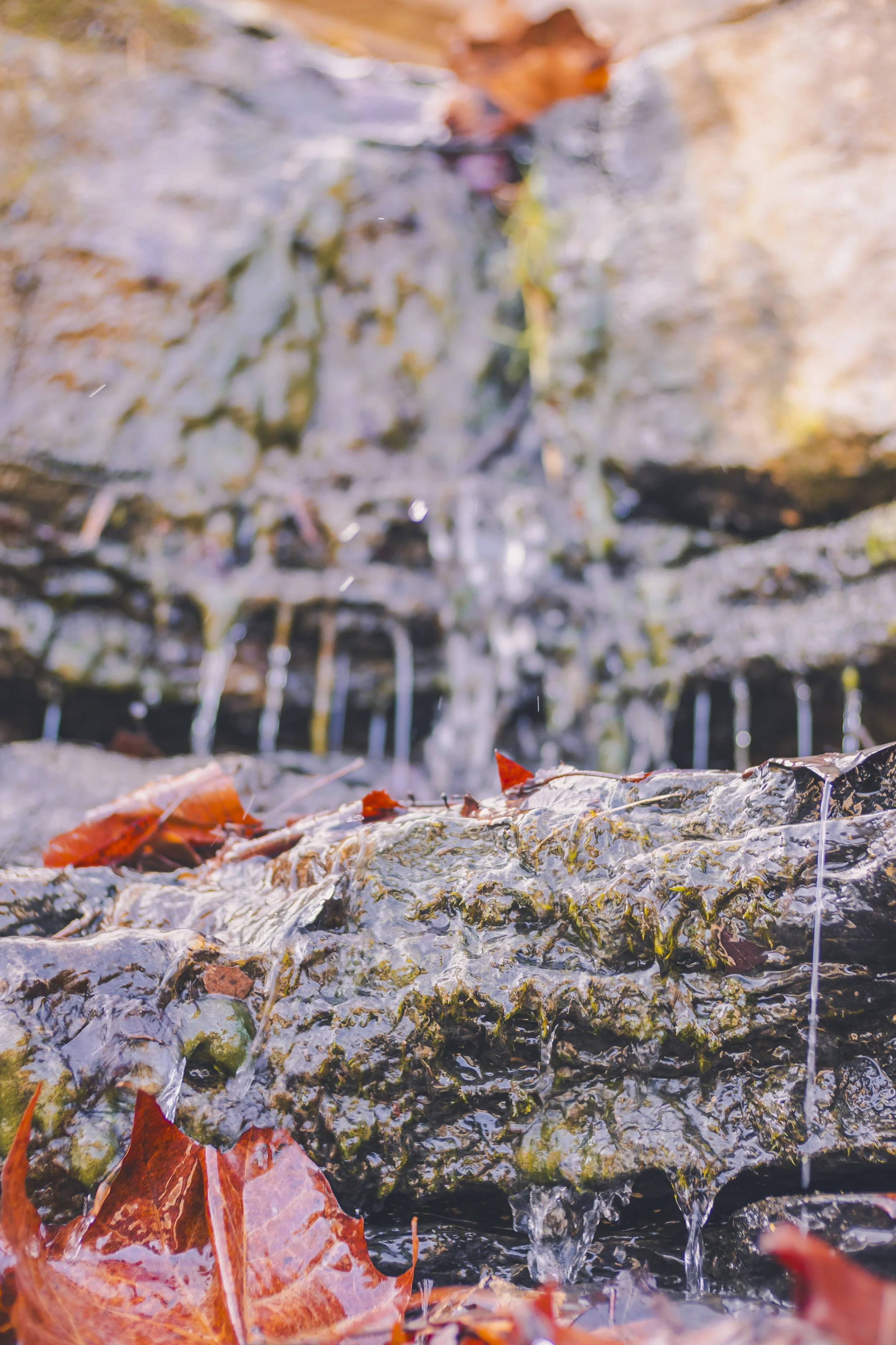 cataract falls-28.jpg