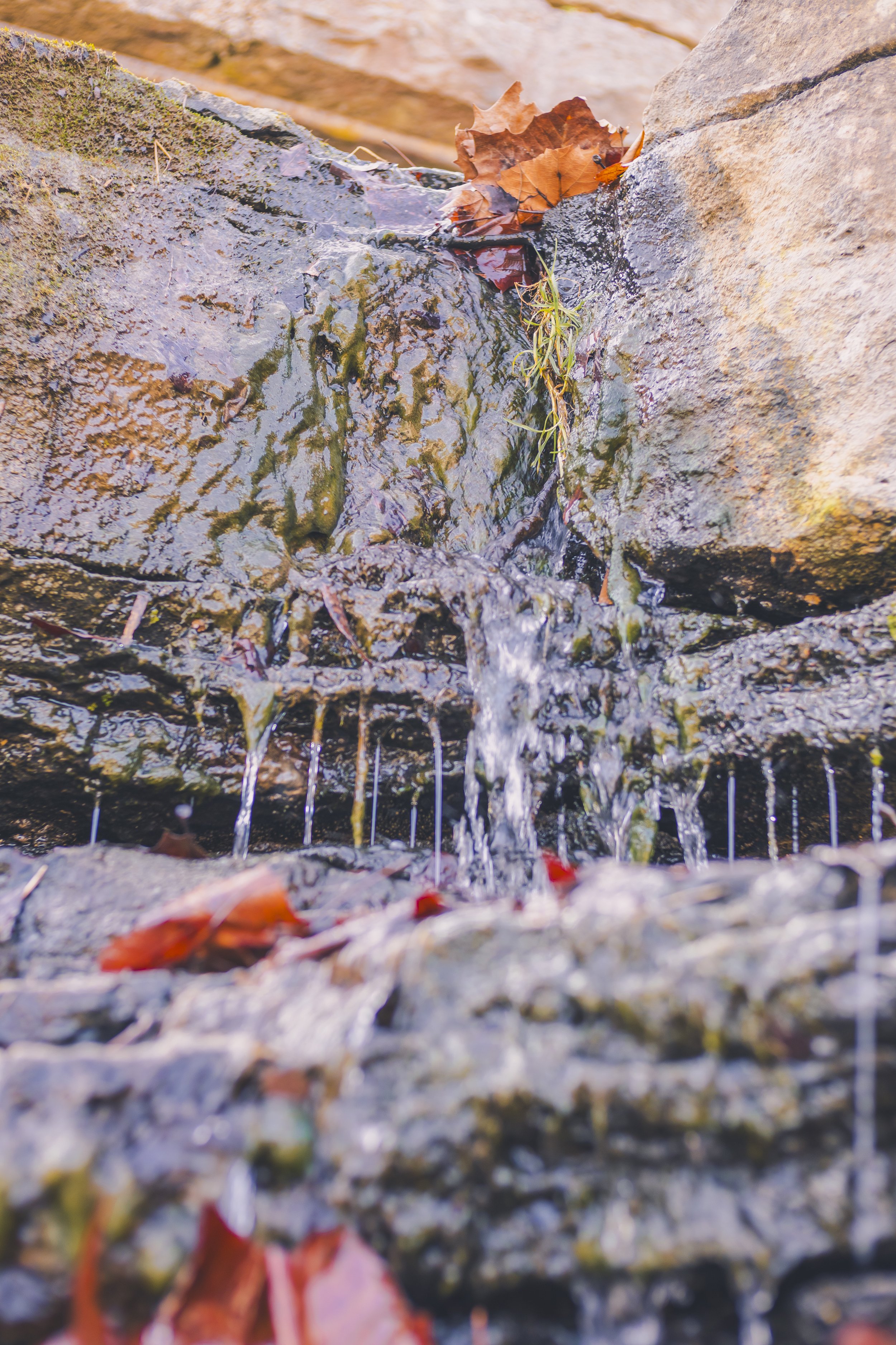 cataract falls-29.jpg