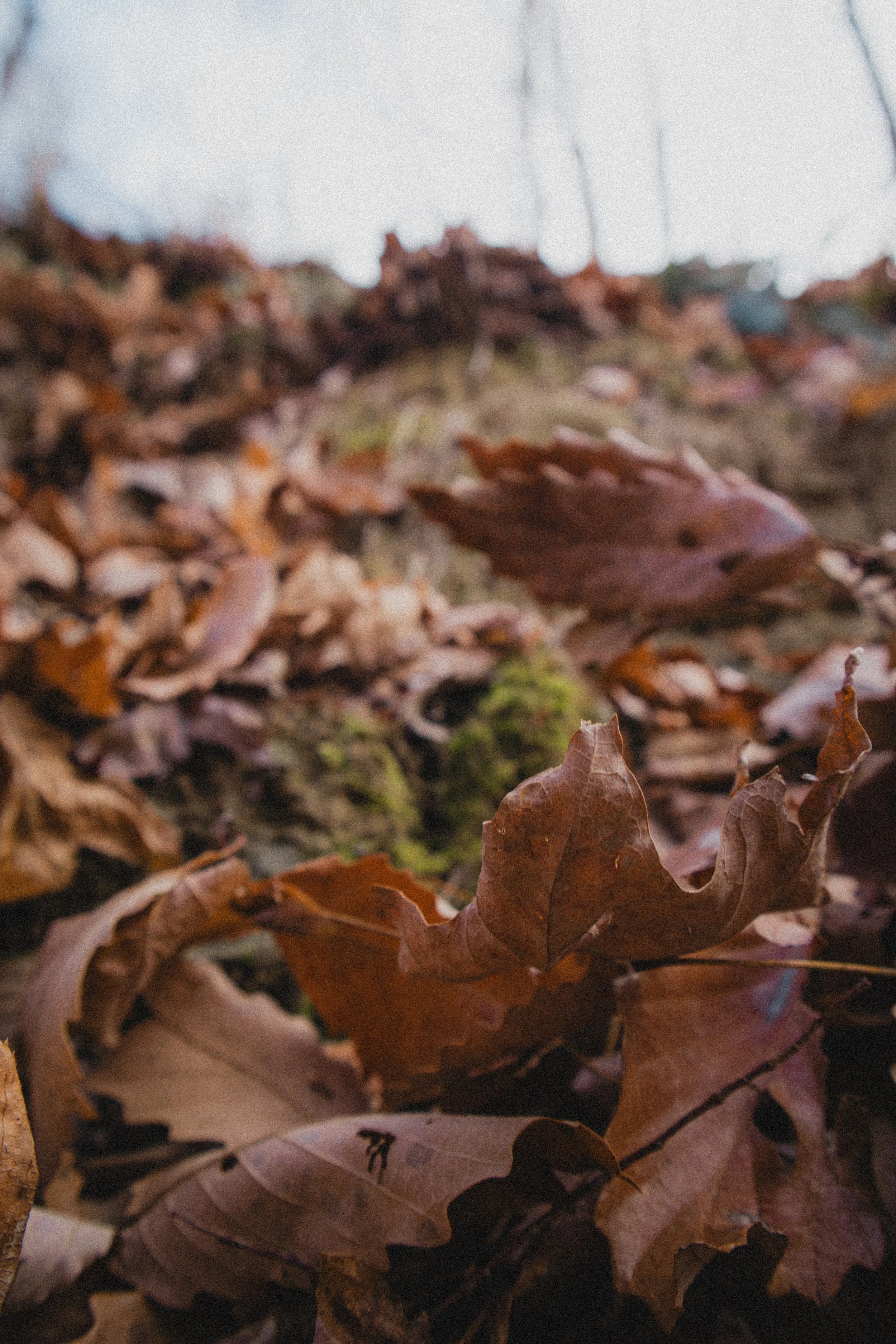 Content Pack 7-18.jpg