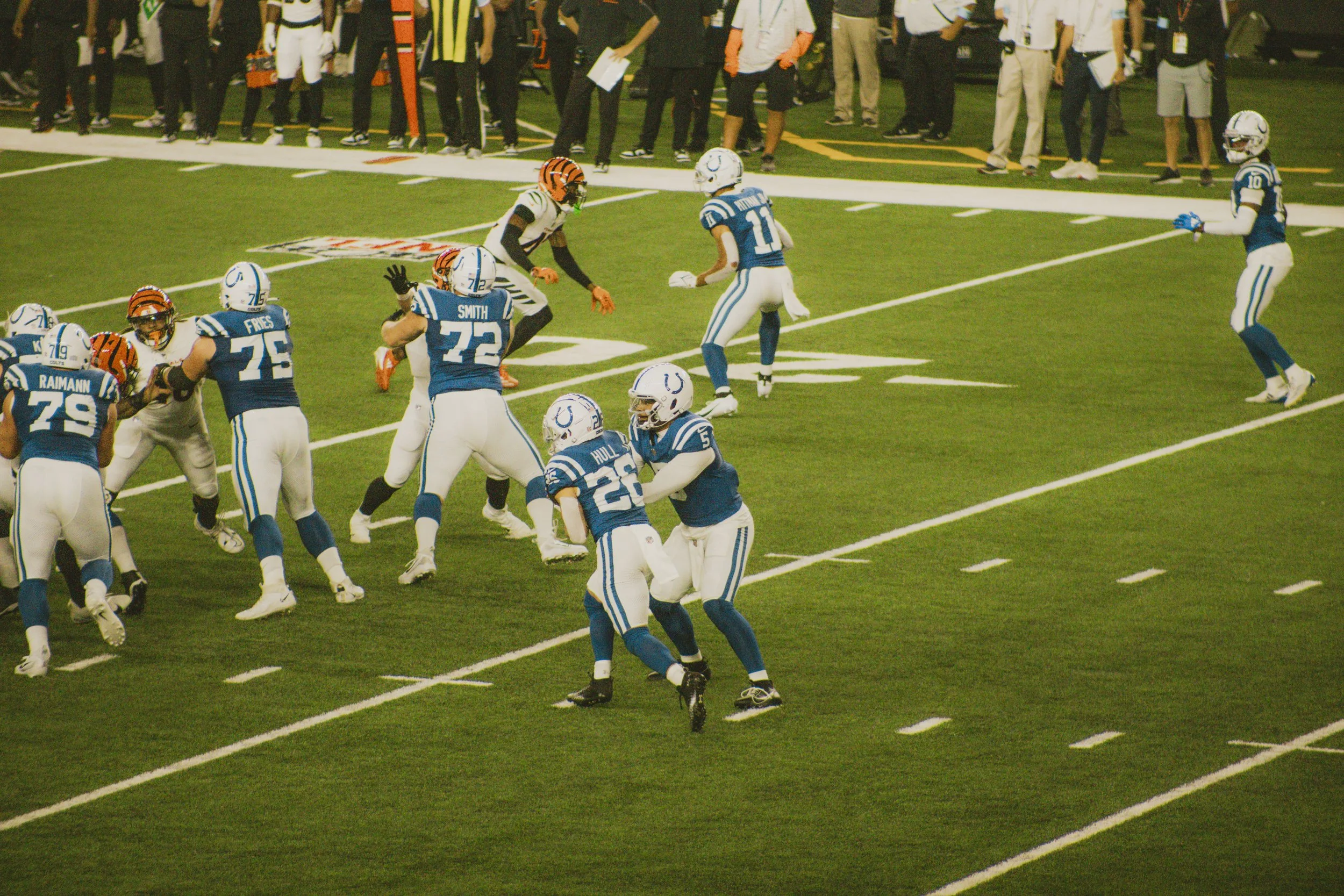 bengals-24.jpg