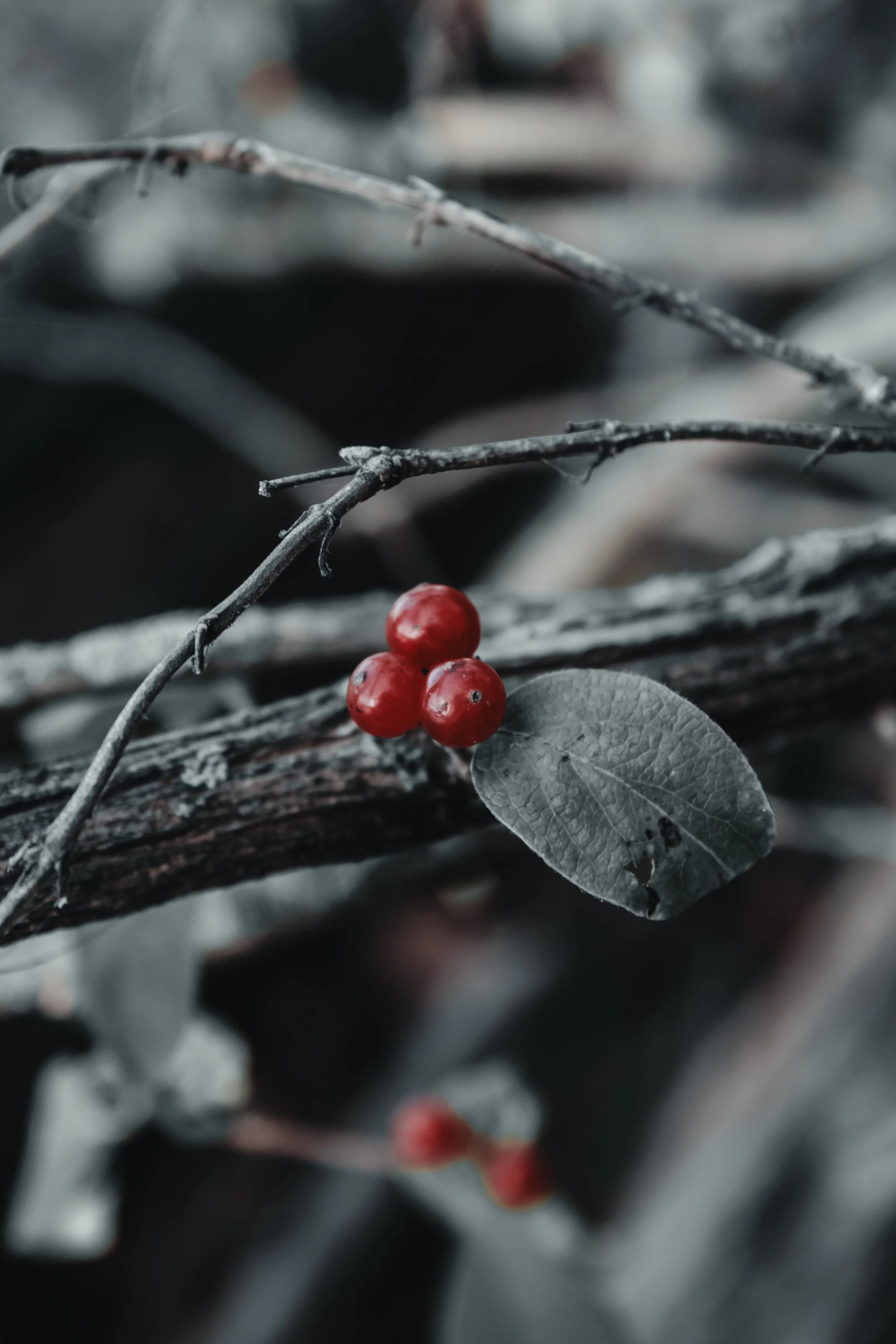 Content Pack 5-9.jpg