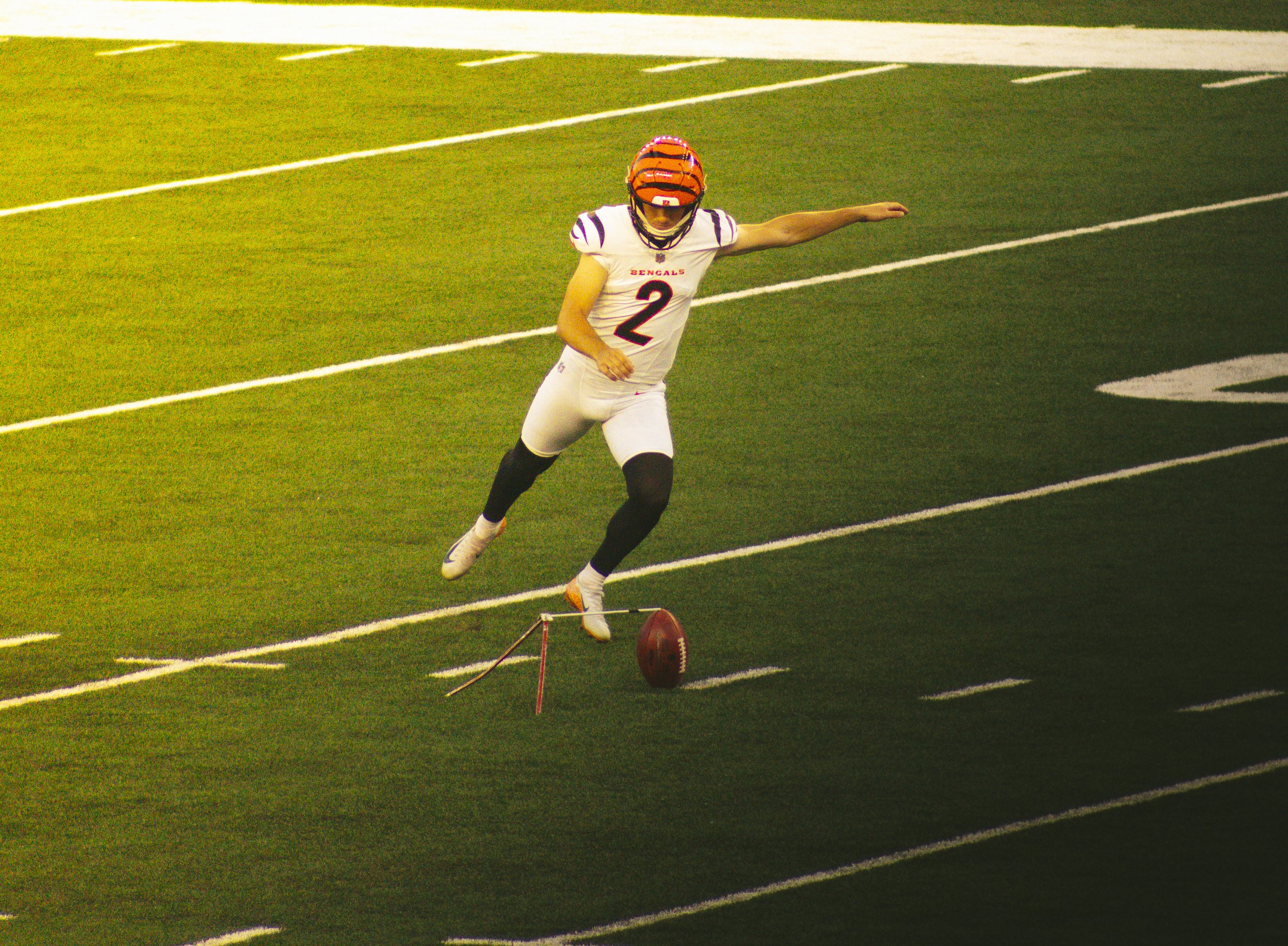 bengals-8.jpg