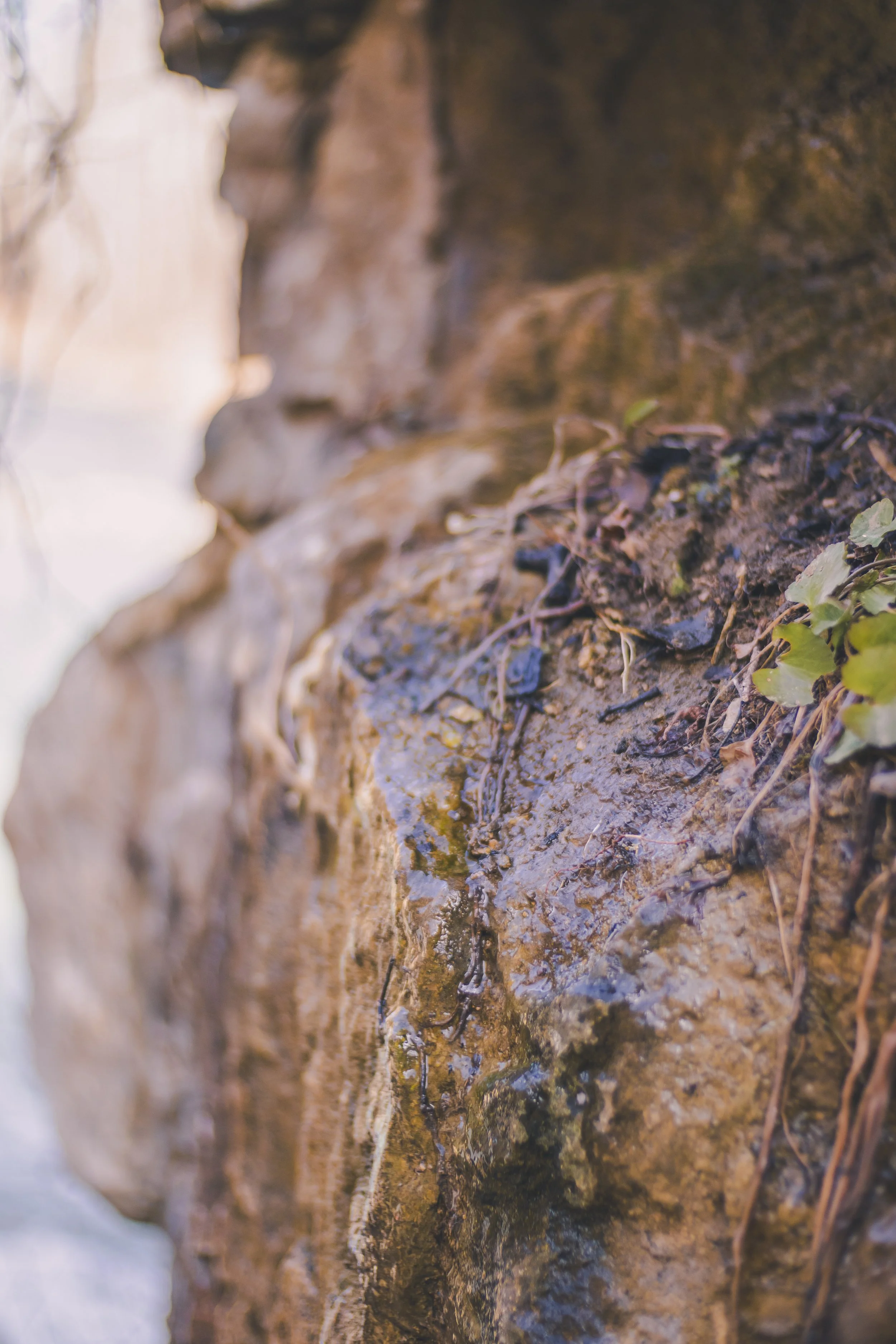 cataract falls-4.jpg