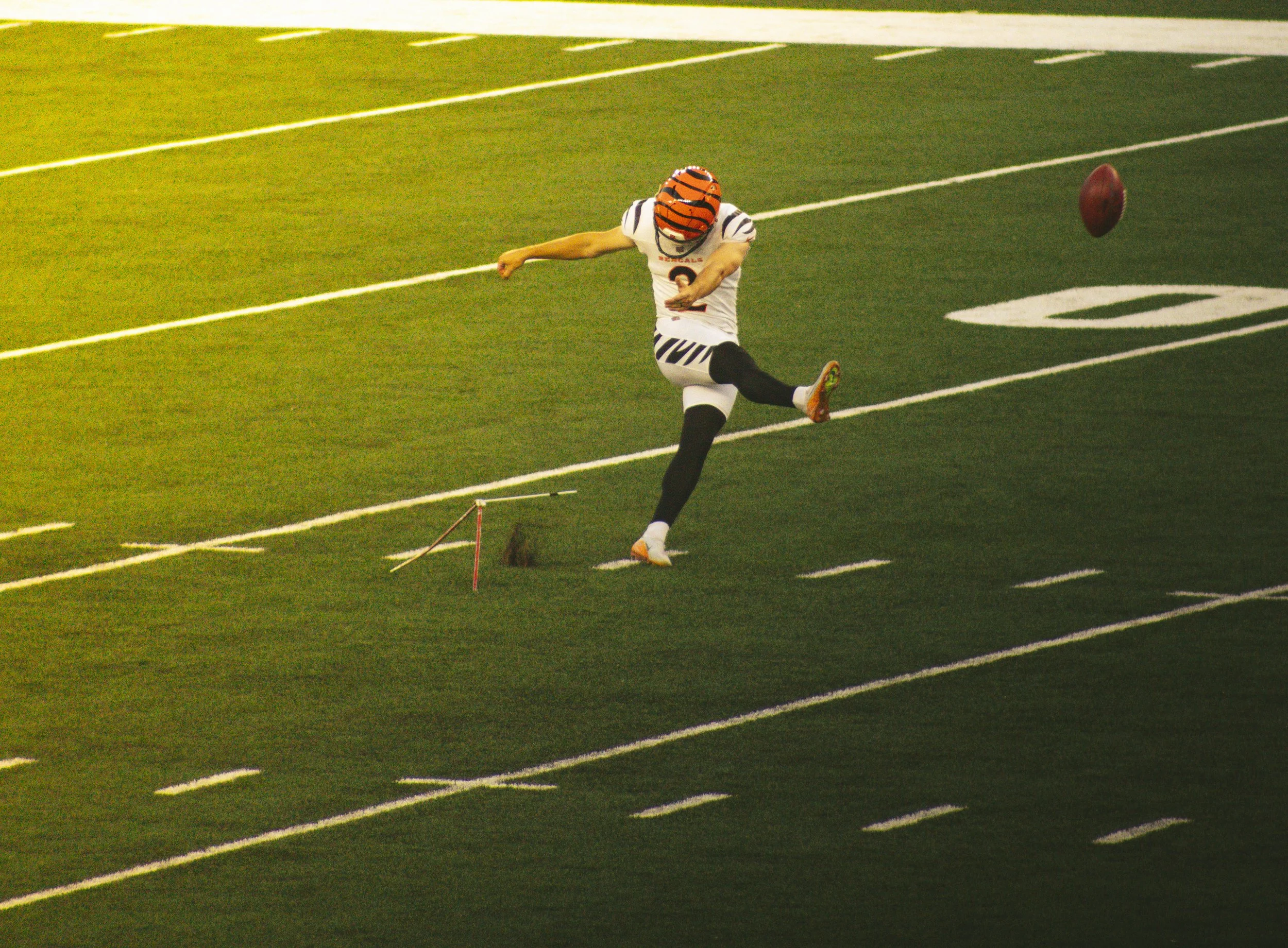 bengals-9.jpg