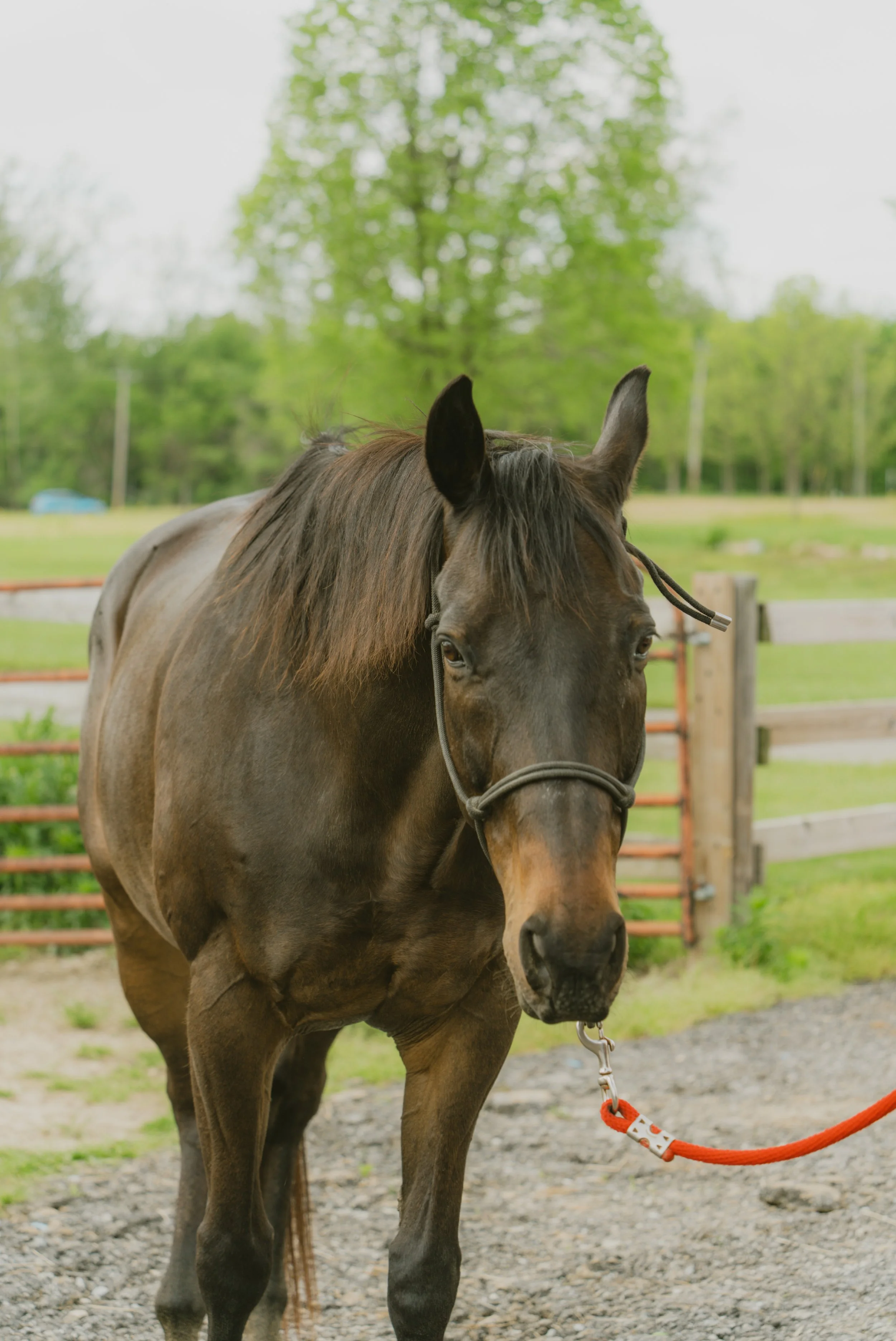 cole and reese_-42.jpg