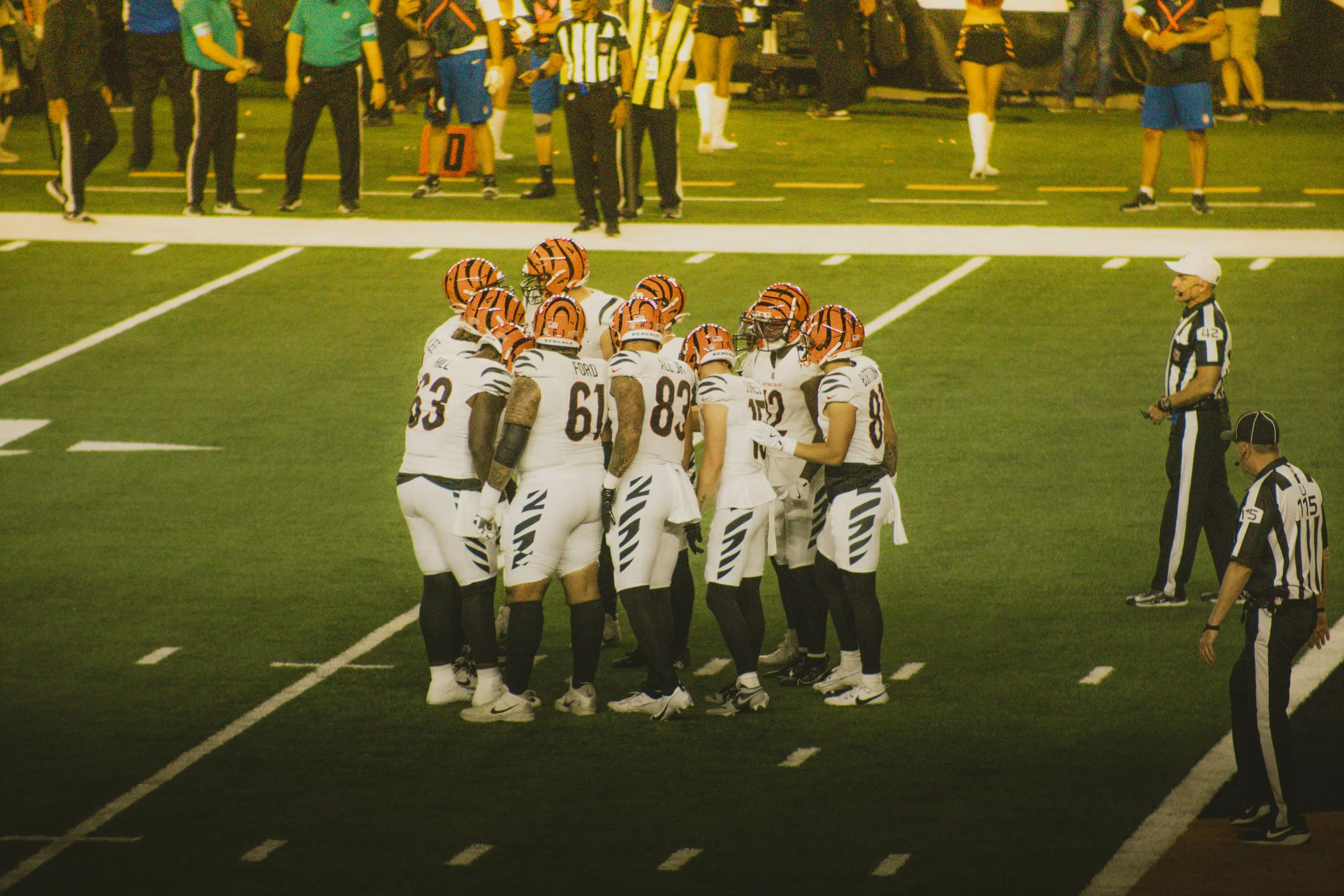 bengals-28.jpg