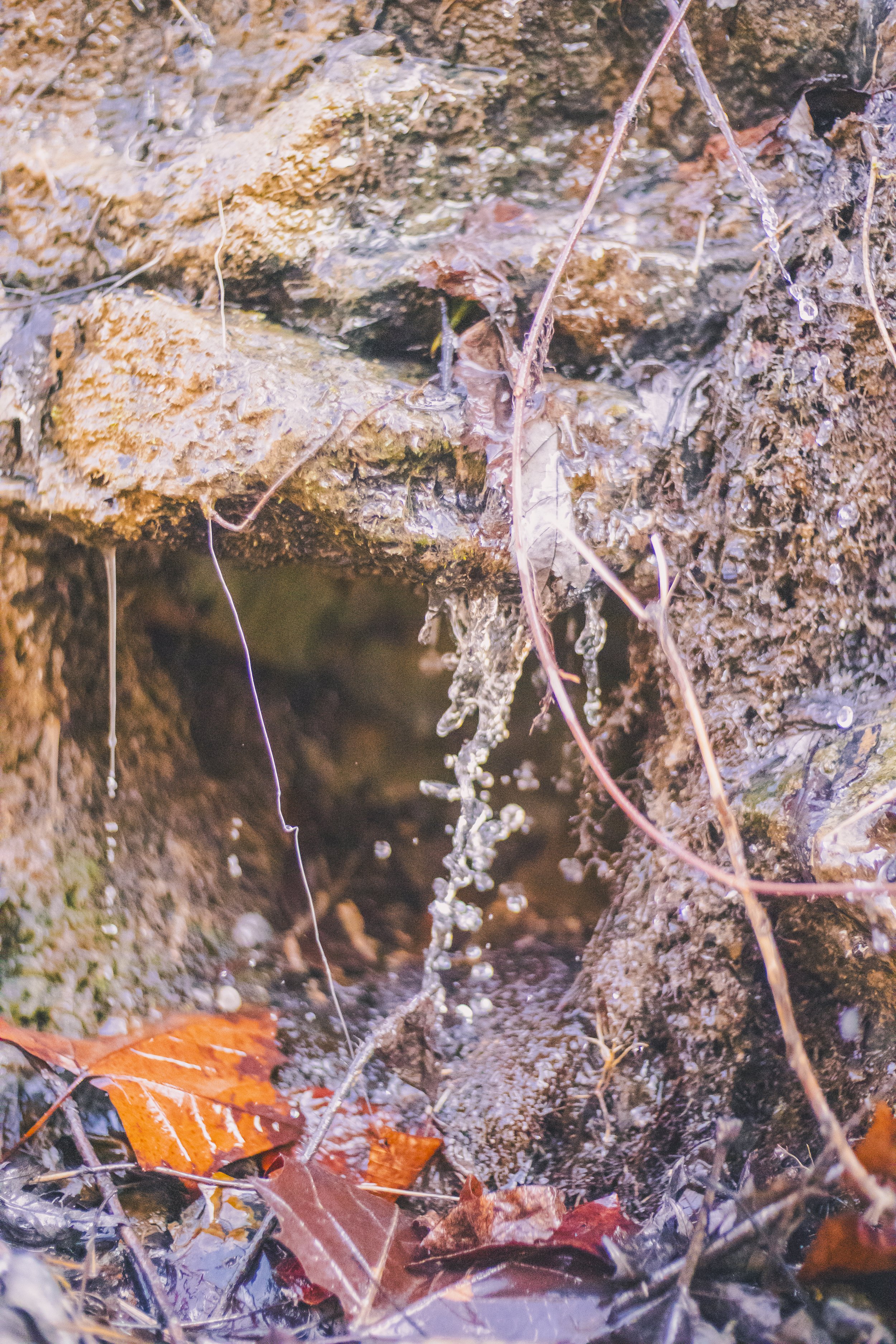 cataract falls-3.jpg