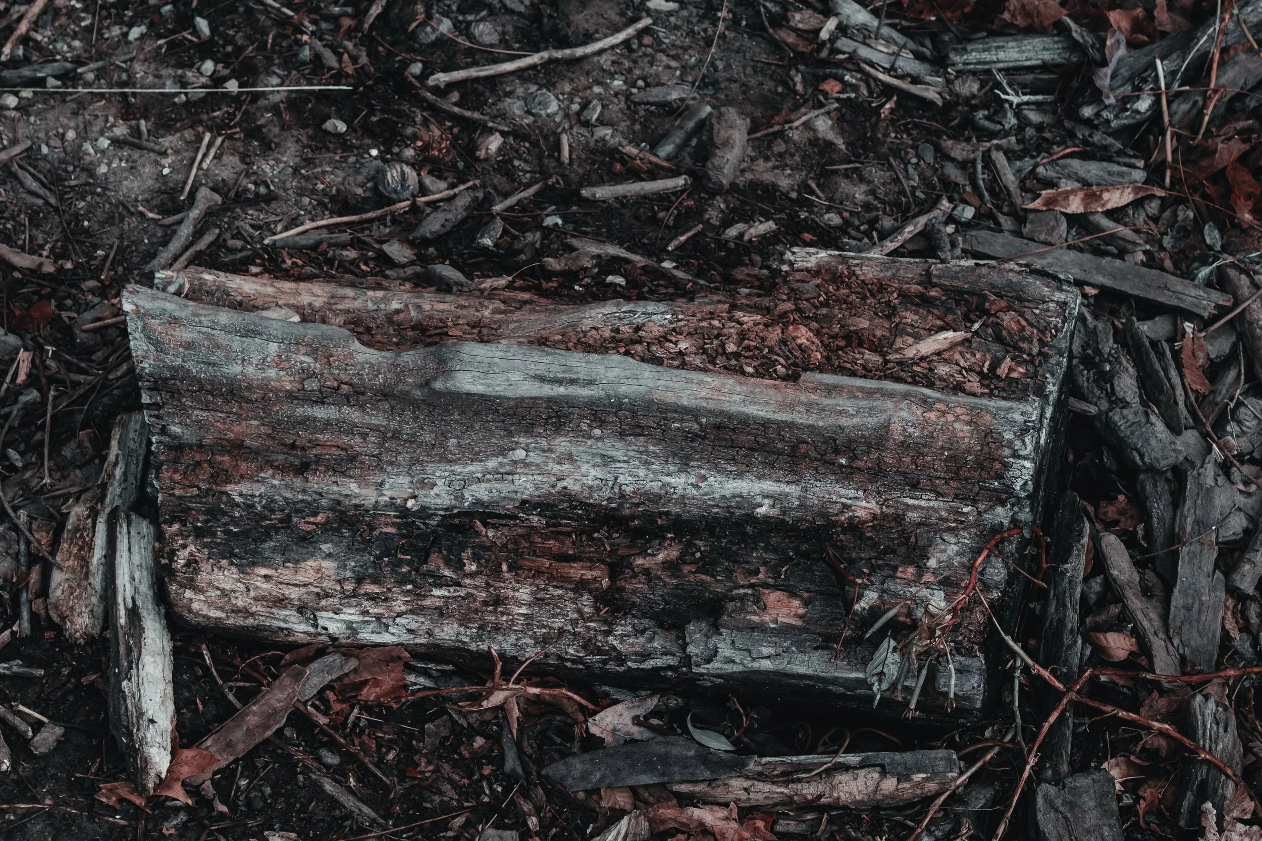 Content Pack 5-10.jpg